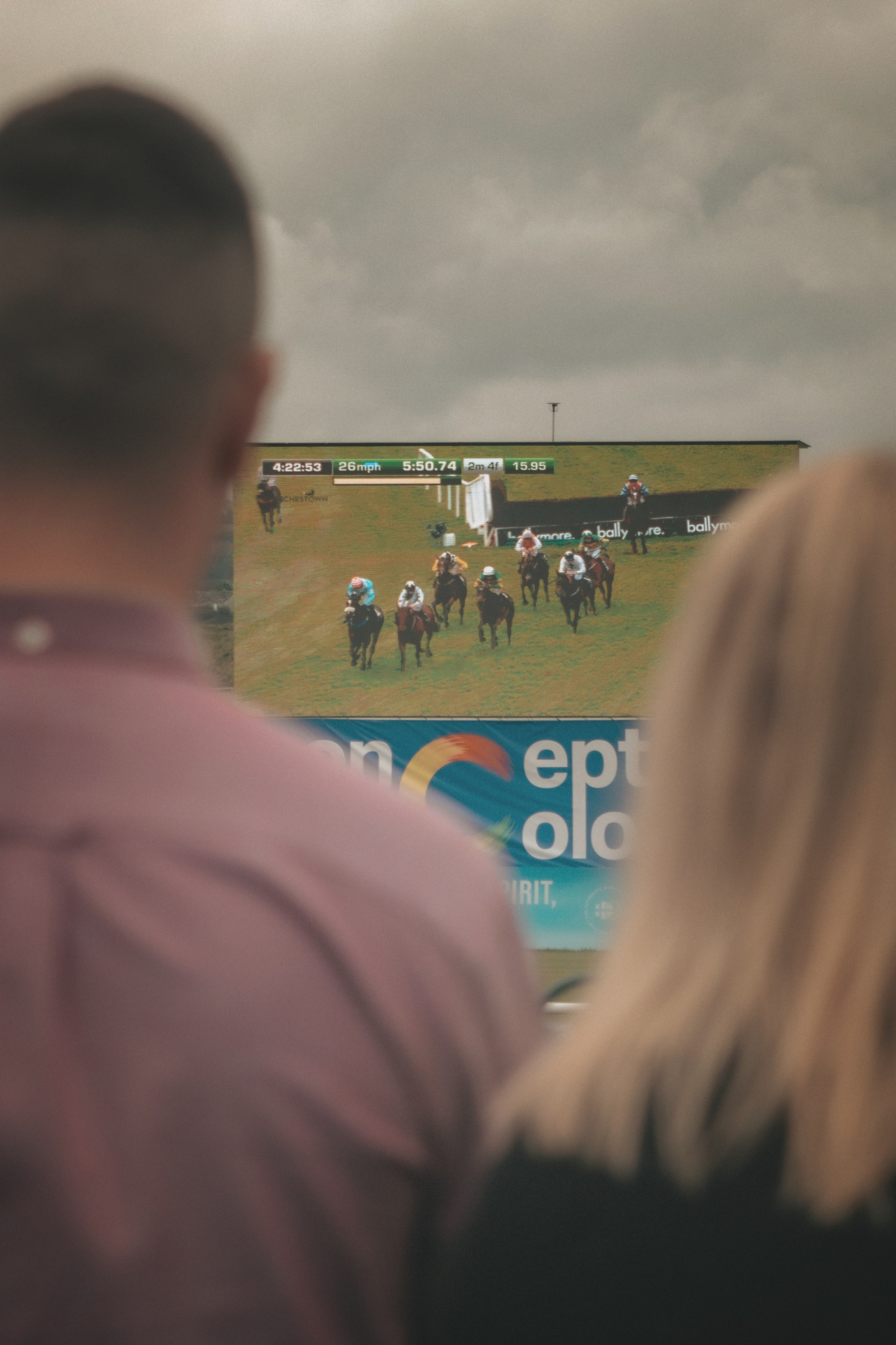 Punchestown. Photographer Co Dublin, Balbriggan — Agata Maliseva
