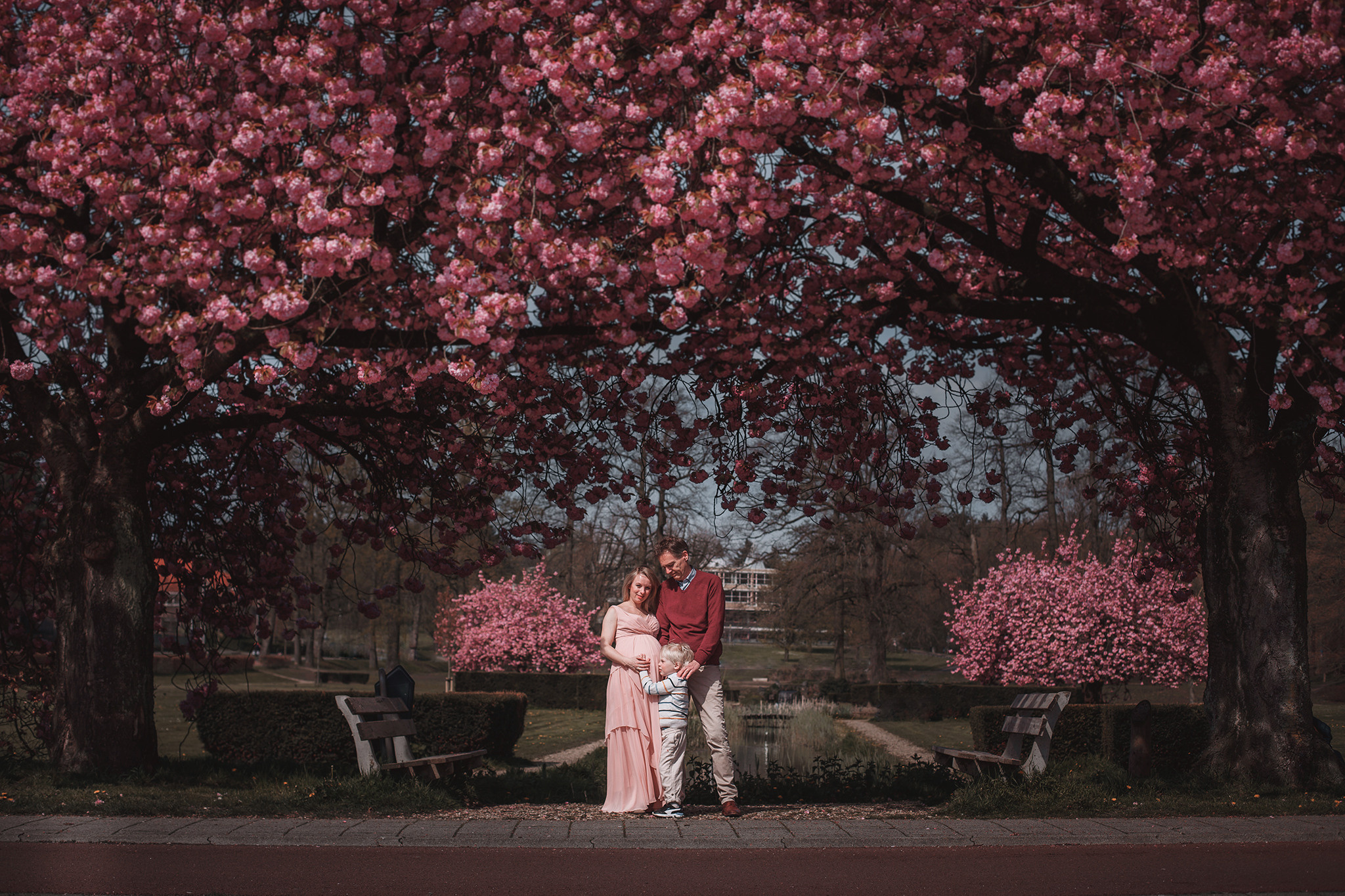 Sakura story. Amina Gunenc - bruiloft- en familie fotograaf in Nederland