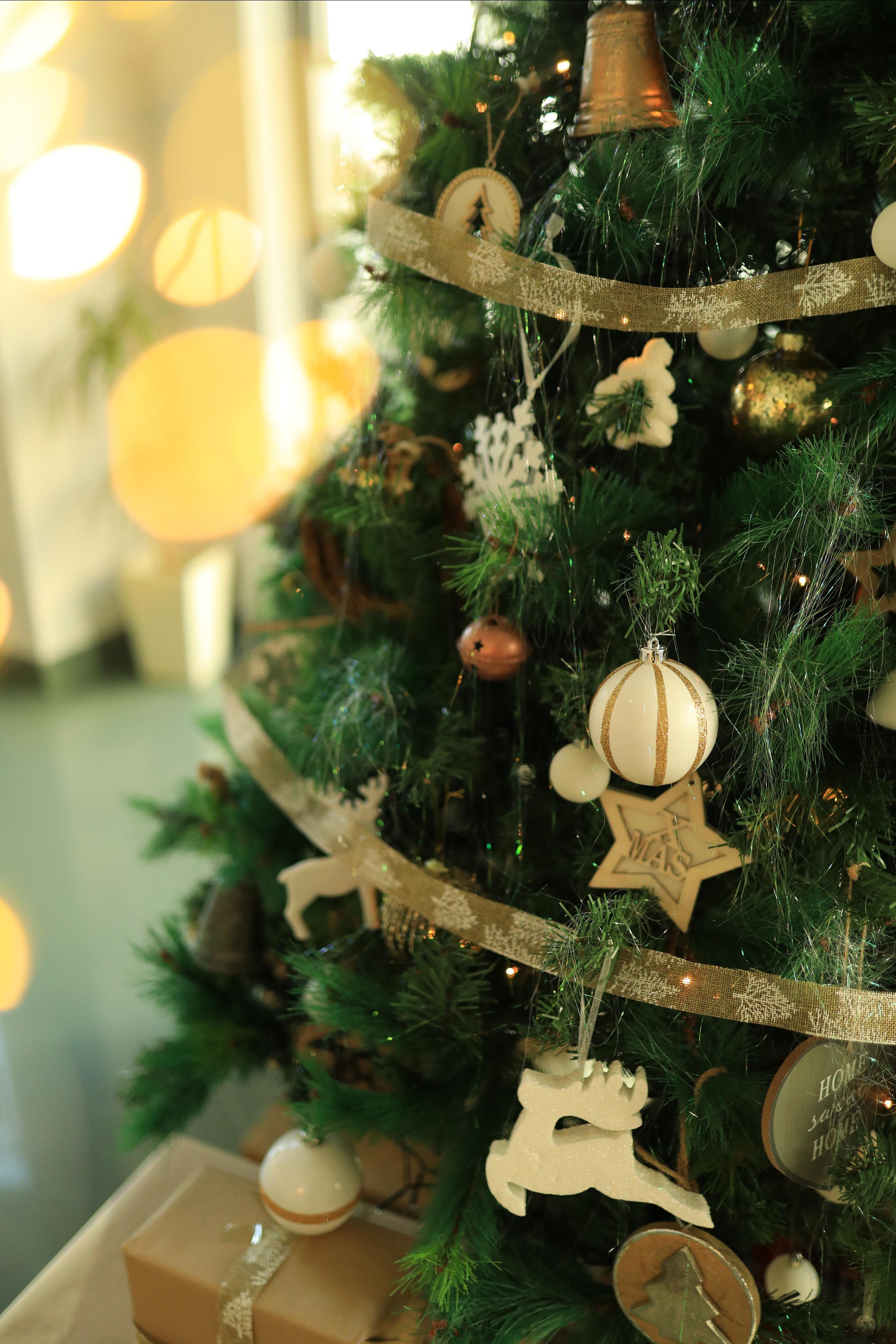 Sesiones de Navidad en Jaca. Fotografía de Eventos, Embarazo y Familiar en Pirineos