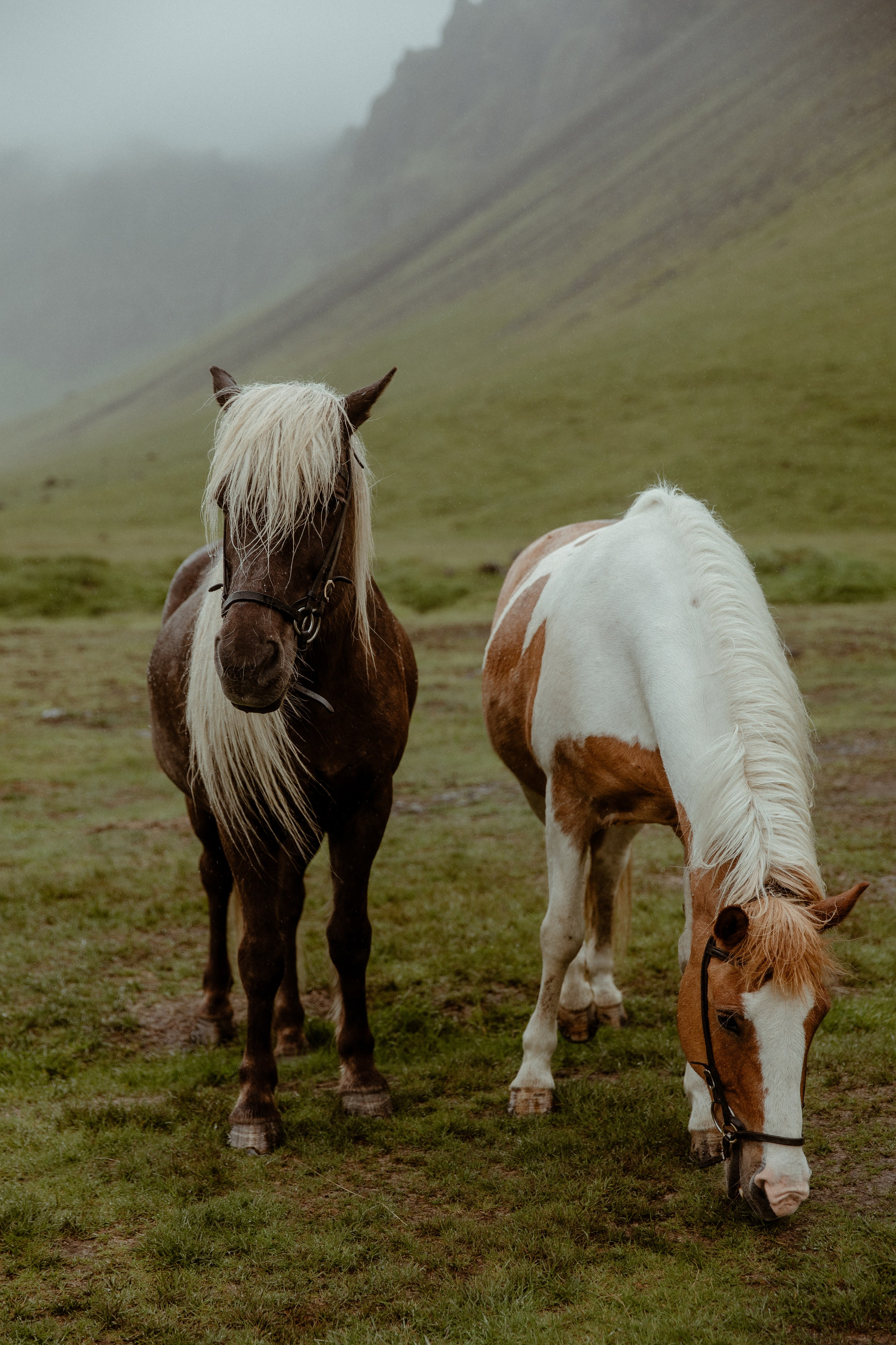 Elopement at Kvernufoss Waterfall. Iceland elopement photo and video | Nikolaichik Photo