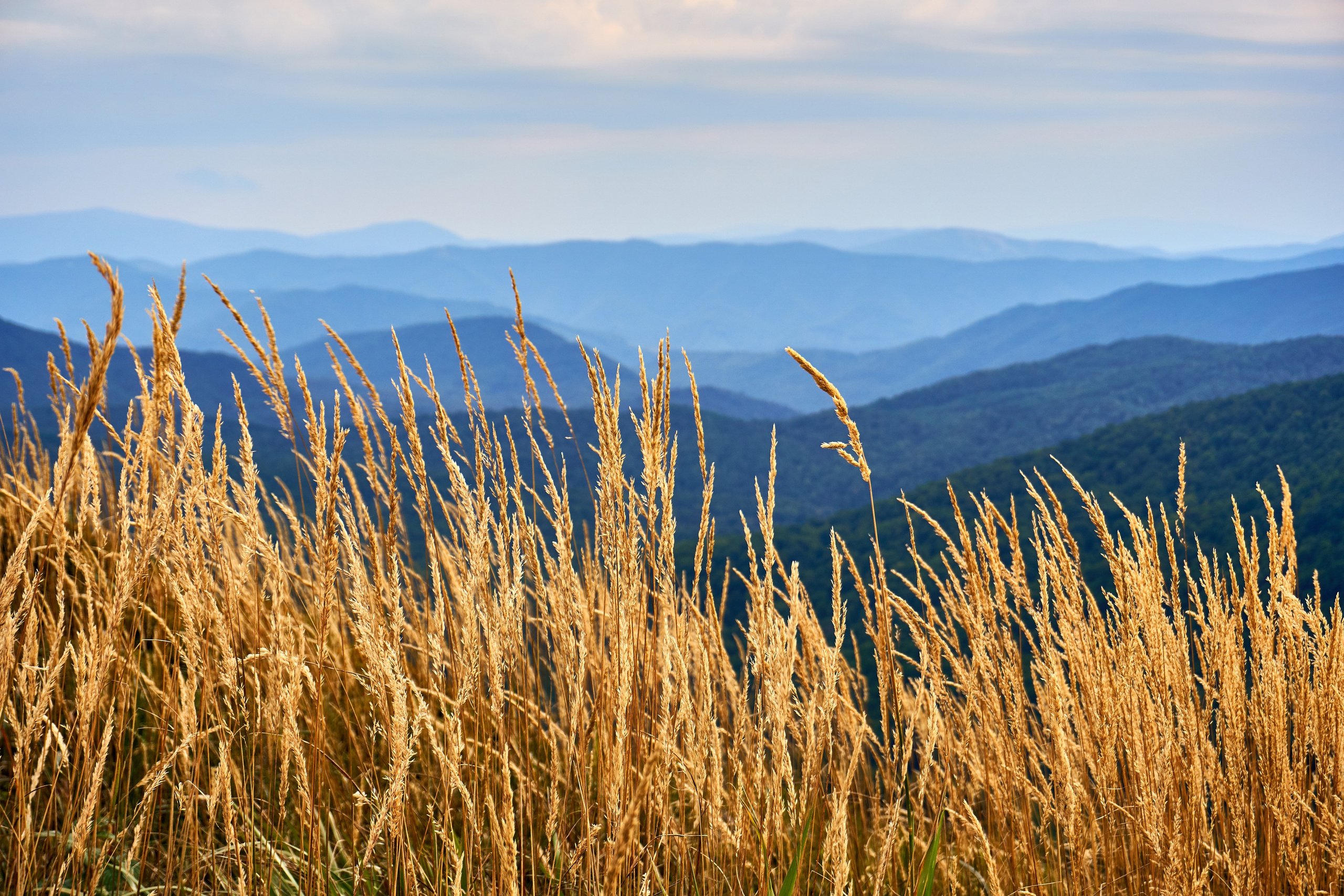 Bieszczady - tu zatrzymuje się czas. Andriej Szypilow - Fotografia & Wideografia