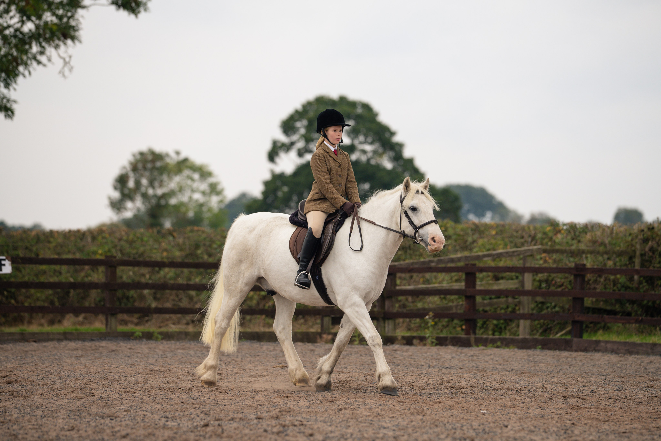 Show Jumping Photography in Leicestershire | Equine Action Shots by El. Leicestershire Equine Photography by El | Authentic Equine Portraits & Events