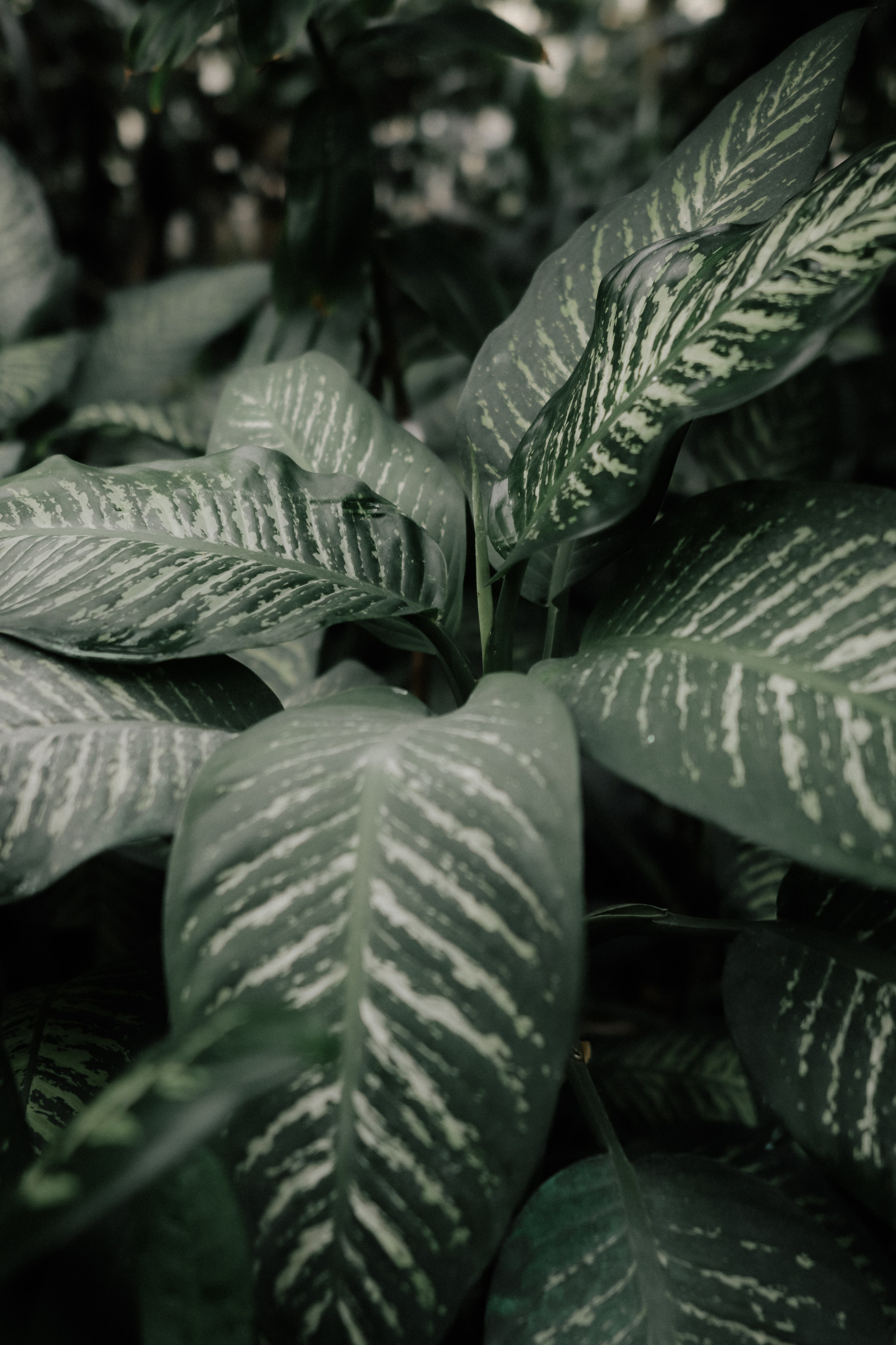 Svatba. Fotografka Andrea Hlaváčová / Karlovarský kraj / Karlovy Vary Sokolov