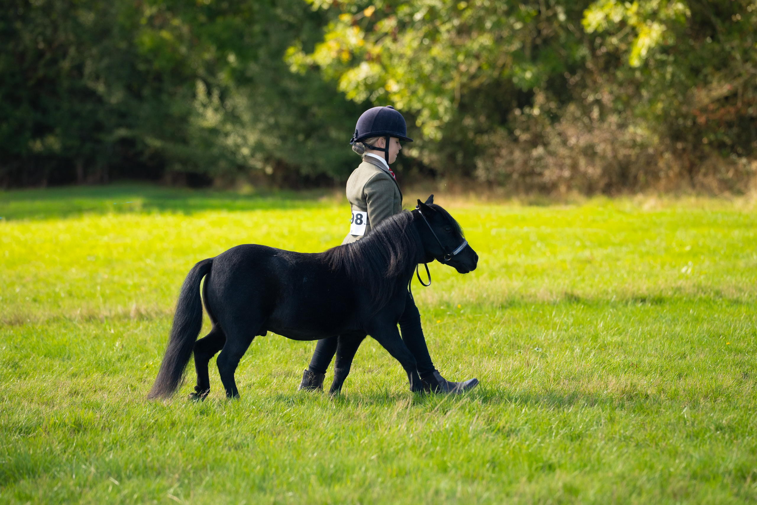 Show Jumping Photography in Leicestershire | Equine Action Shots by El. Leicestershire Equine Photography by El | Authentic Equine Portraits & Events