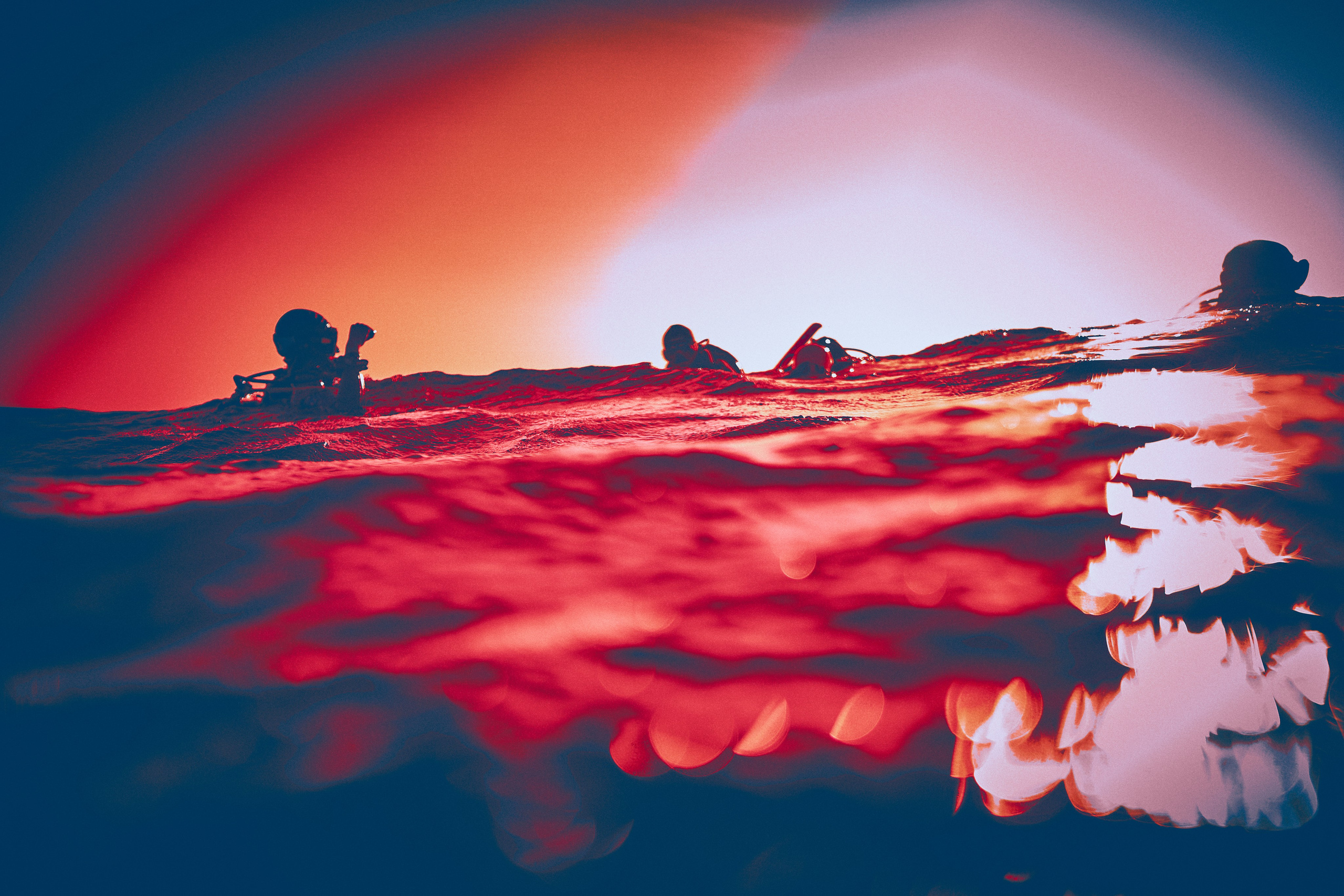 2023-11 - Diving Safari Deep South Egypt. Андрей Шипилов — Фотография & Видеография