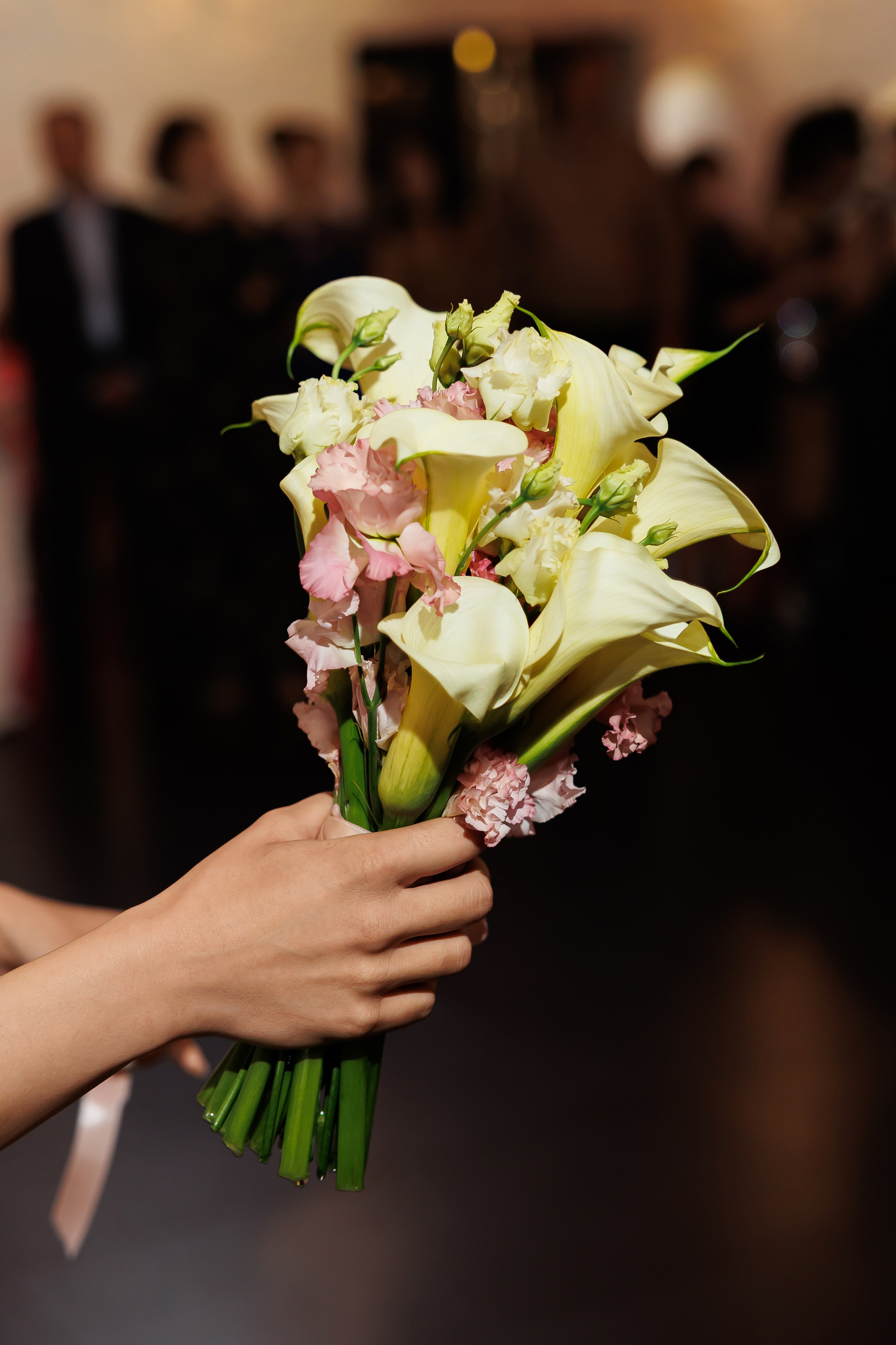 Gabriel & Evelina — Lago — Wedding Day. Servicii Foto și Video 067188353