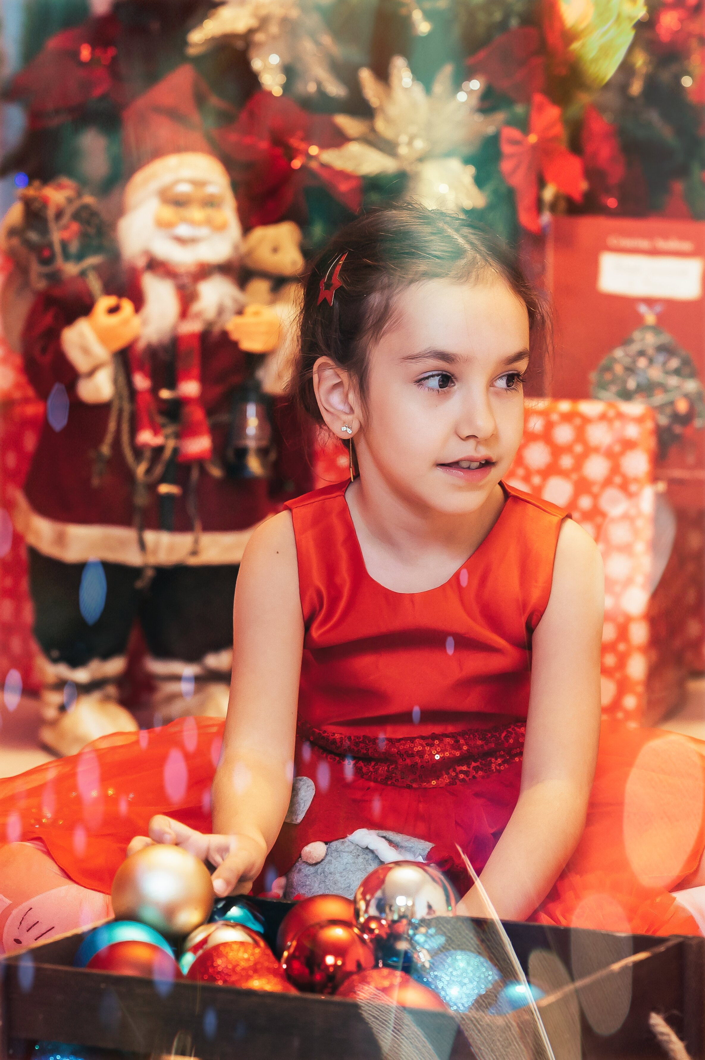 Sedinta Craciun Sofia