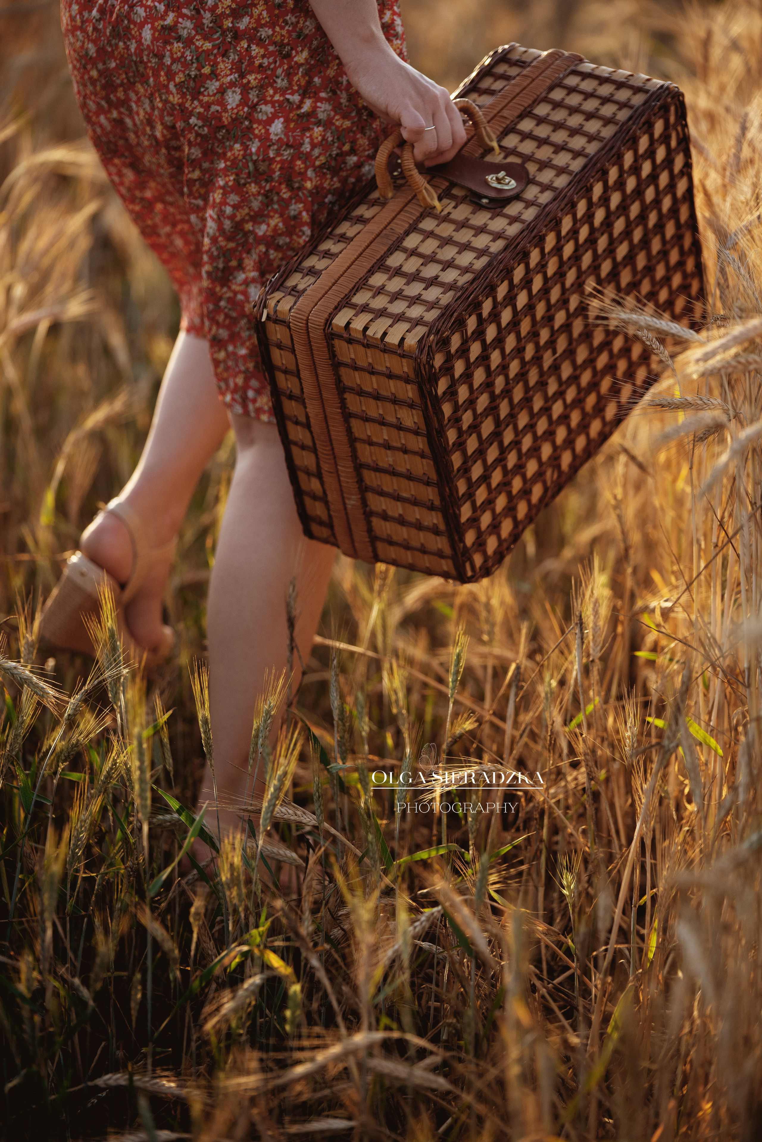 Oferta. Olga Sieradzka fotograf rodzinny, ciążowy i dziecięcy w Pile