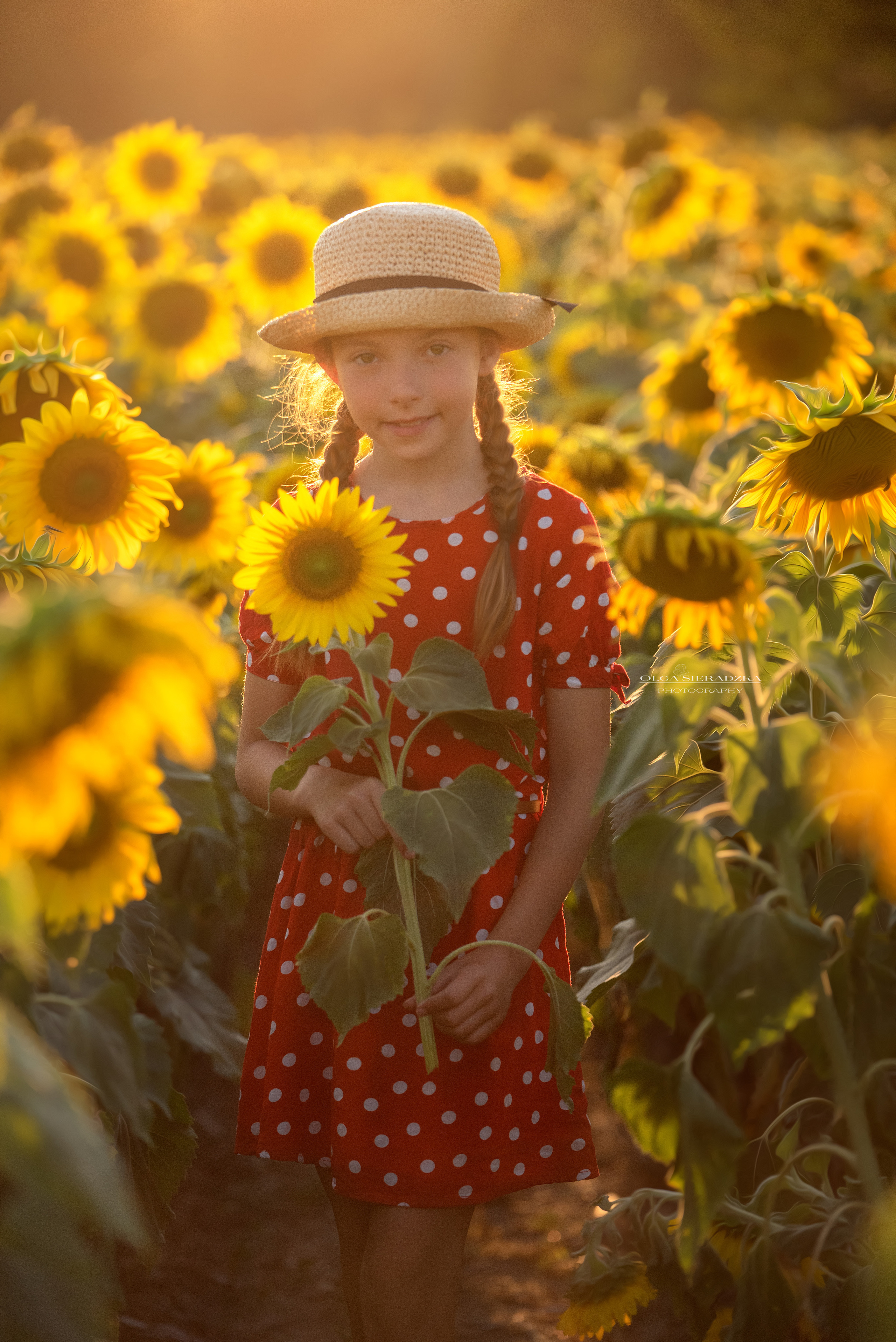 Sesje rodzinne i dziecięce. Olga Sieradzka fotograf rodzinny, ciążowy i dziecięcy w Pile