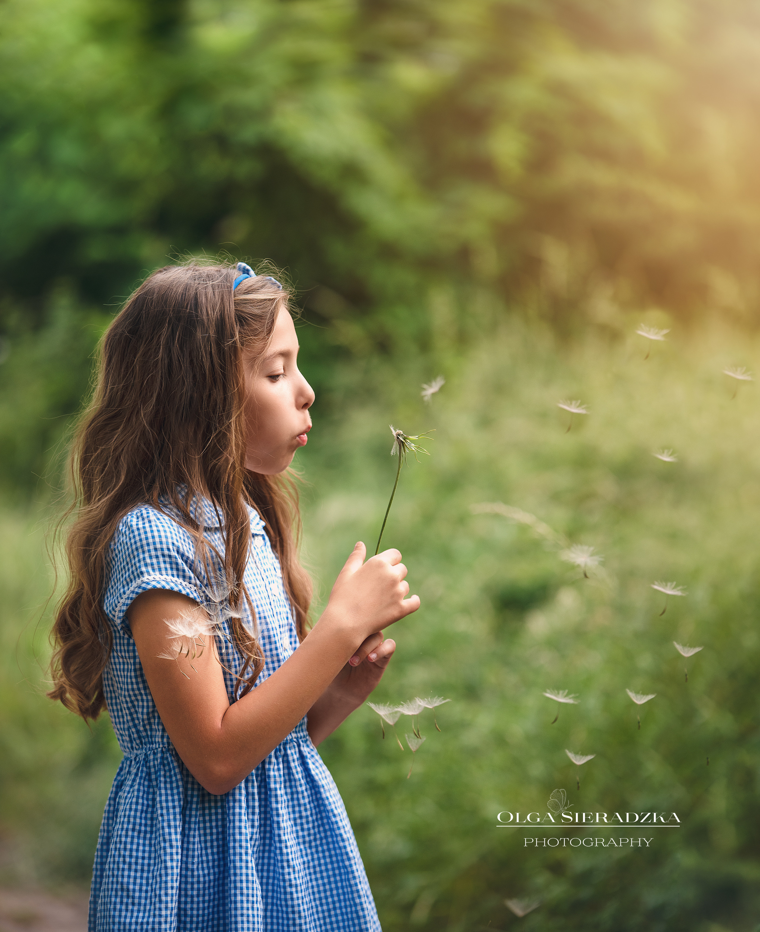 Oferta. Olga Sieradzka fotograf rodzinny, ciążowy i dziecięcy w Pile
