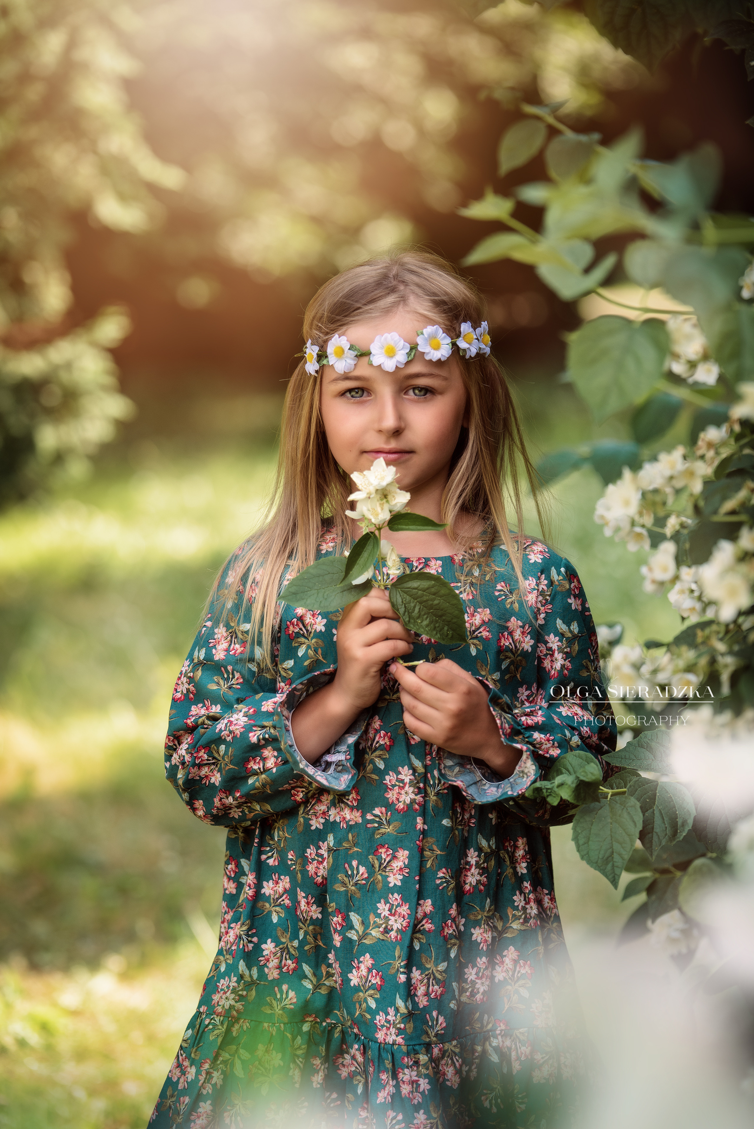 Oferta. Olga Sieradzka fotograf rodzinny, ciążowy i dziecięcy w Pile