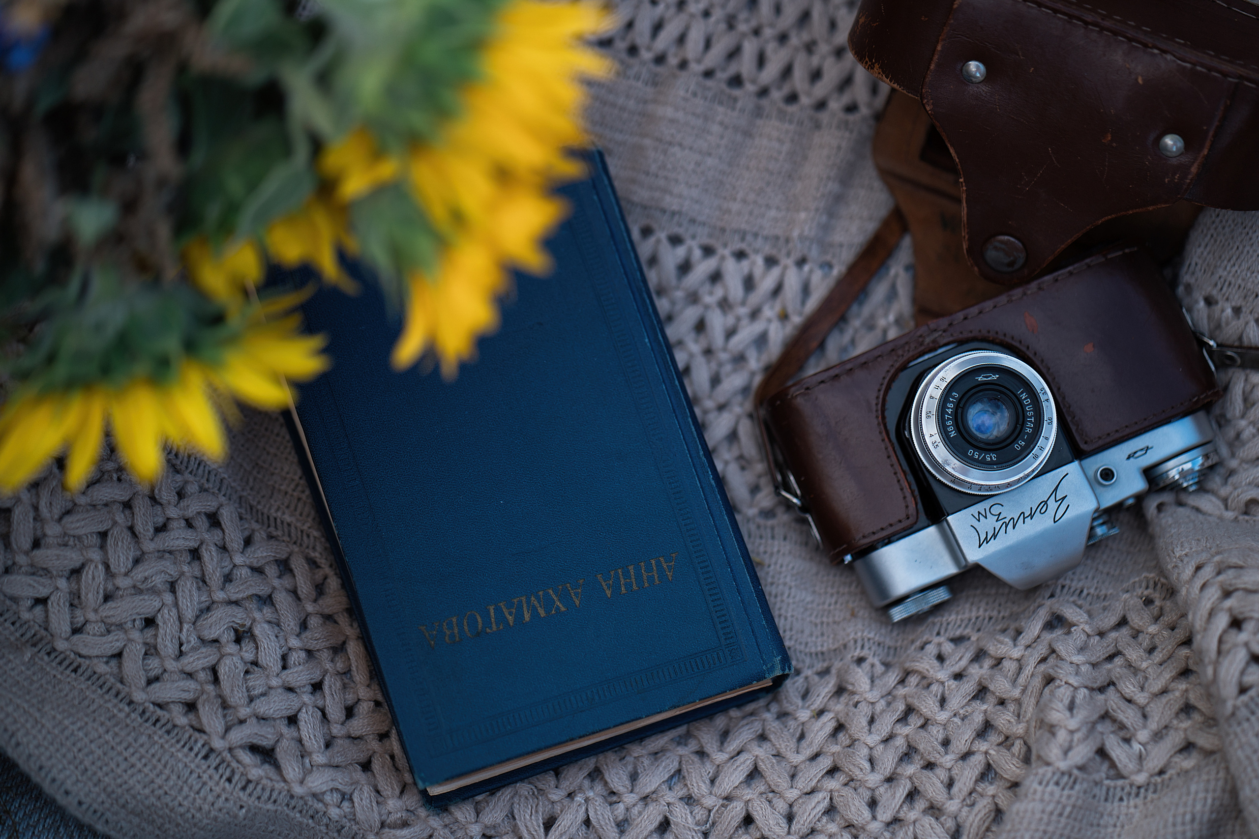 Portrait in the summer evening. Family, Lifestyle and Portrait photograher in Trier, Germany