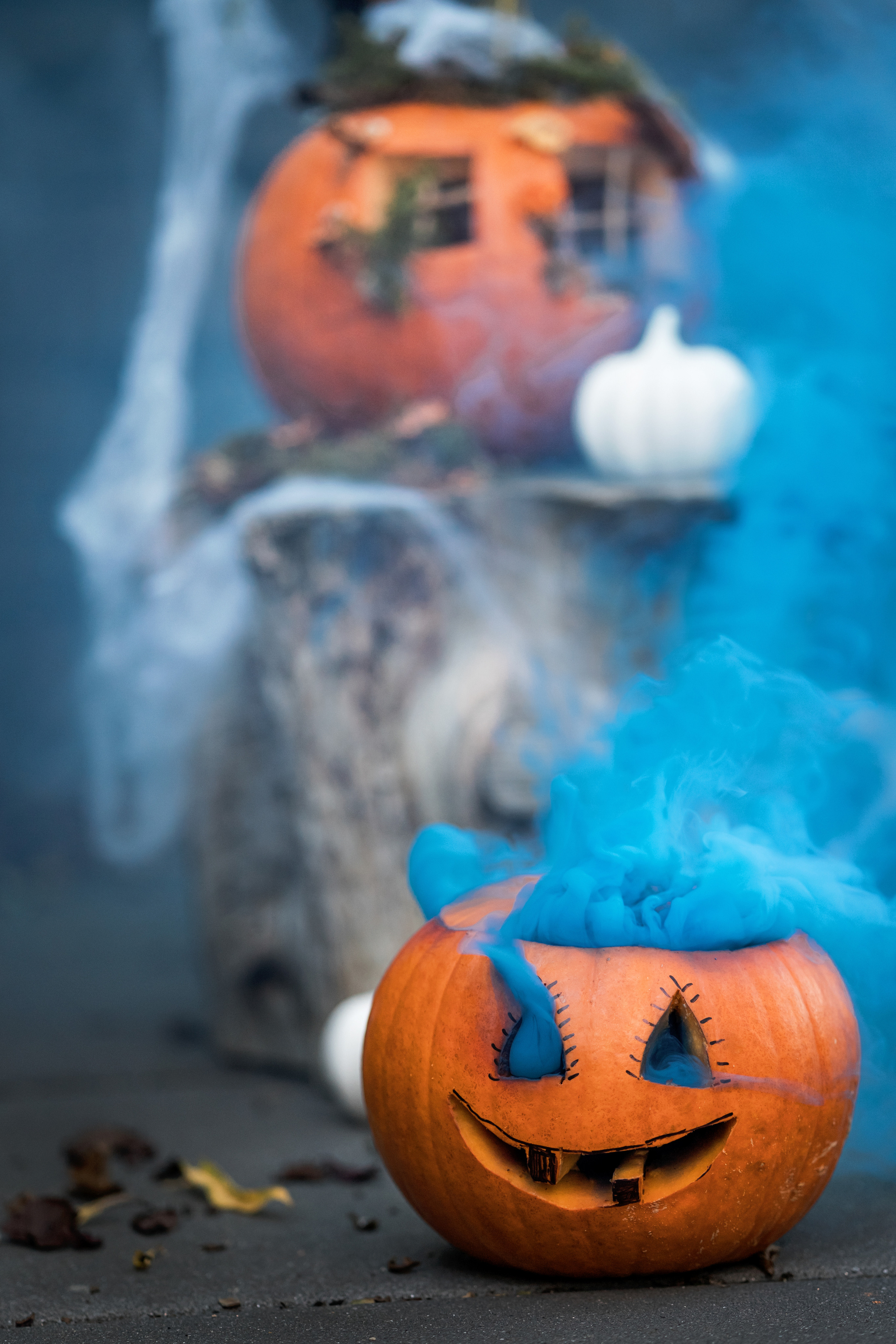 Halloween witch. Family, Lifestyle and Portrait photograher in Trier, Germany