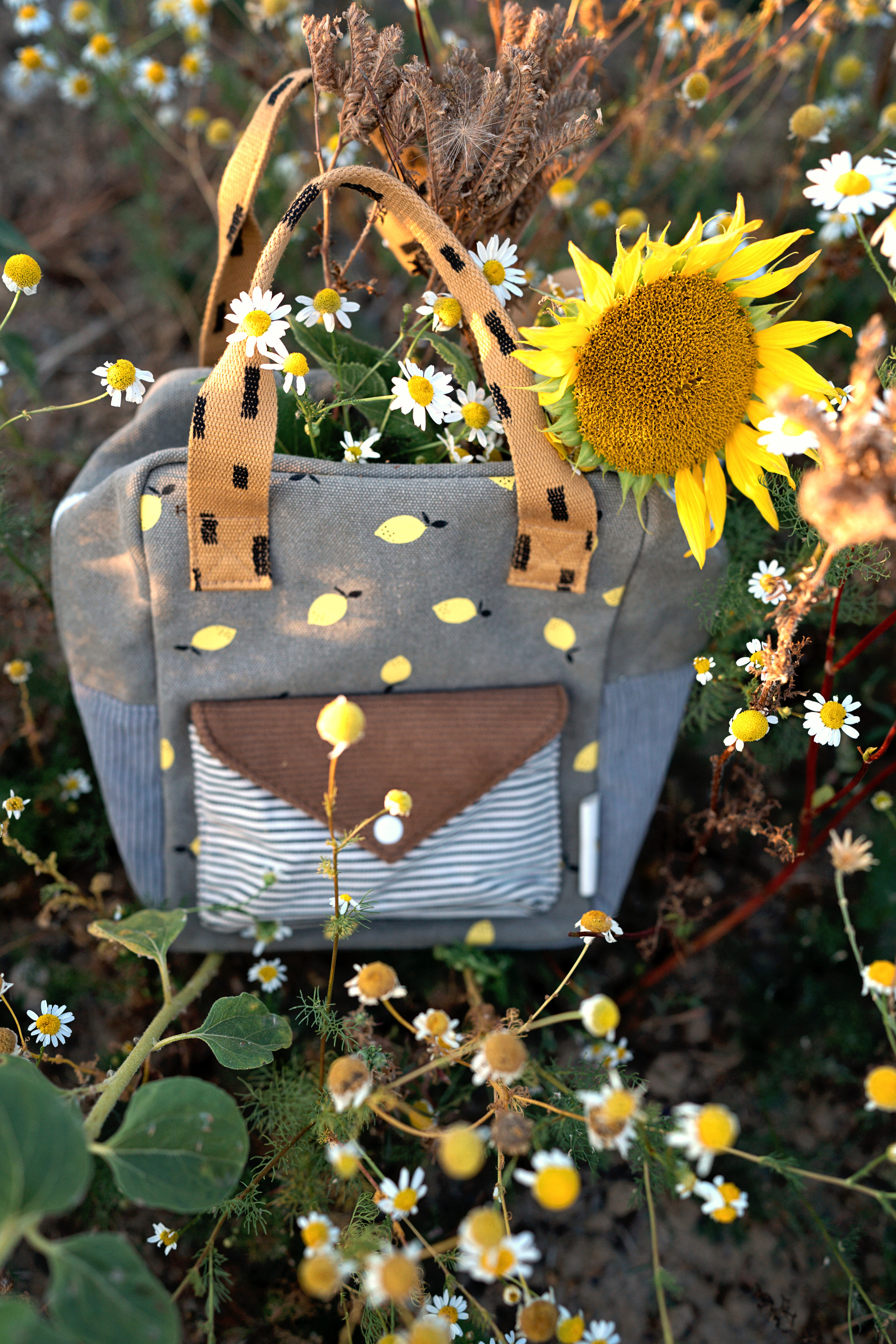 Летние поля. Семейный, детский и женский фотограф в Германии, Трире