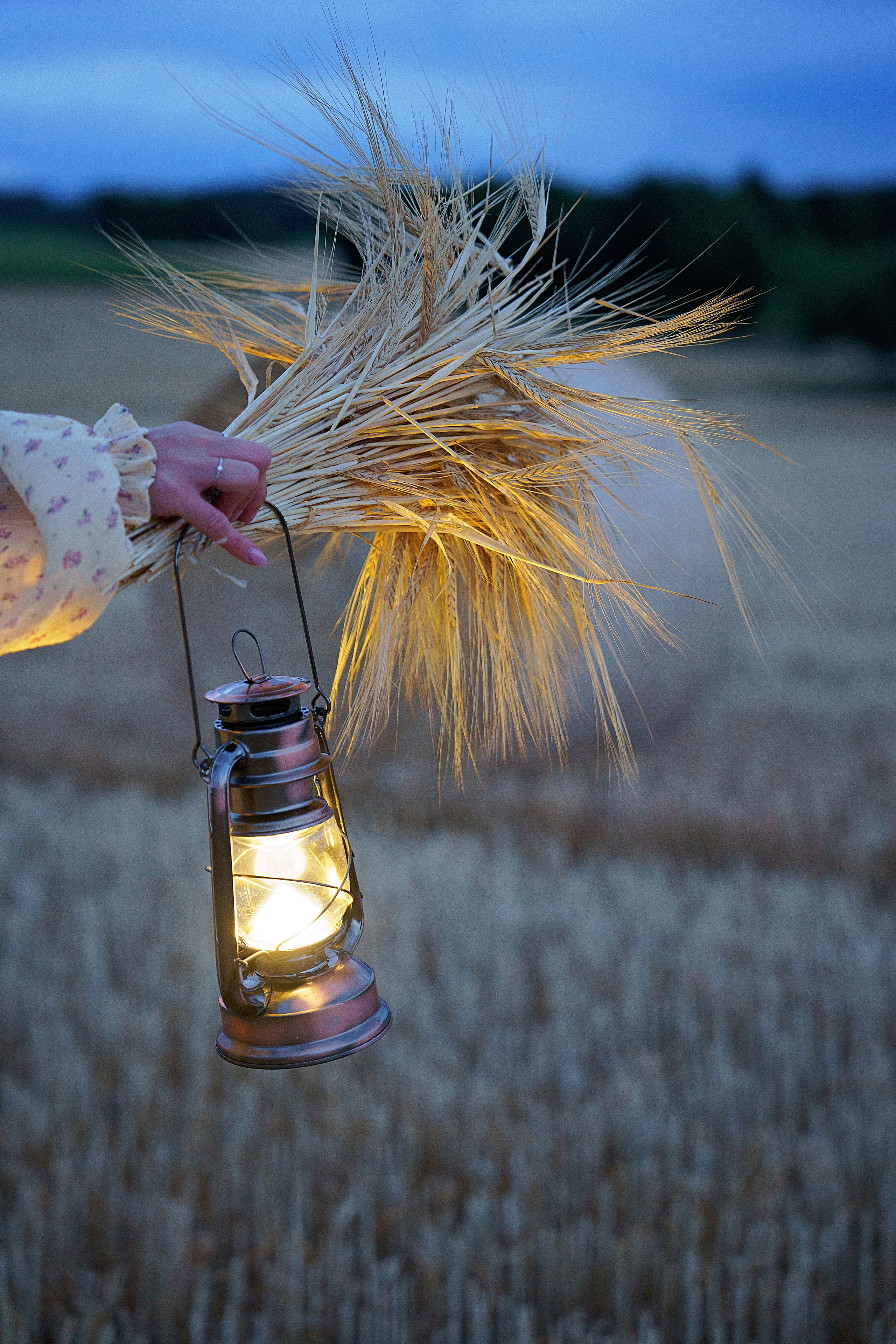 Portrait in the summer evening. Family, Lifestyle and Portrait photograher in Trier, Germany