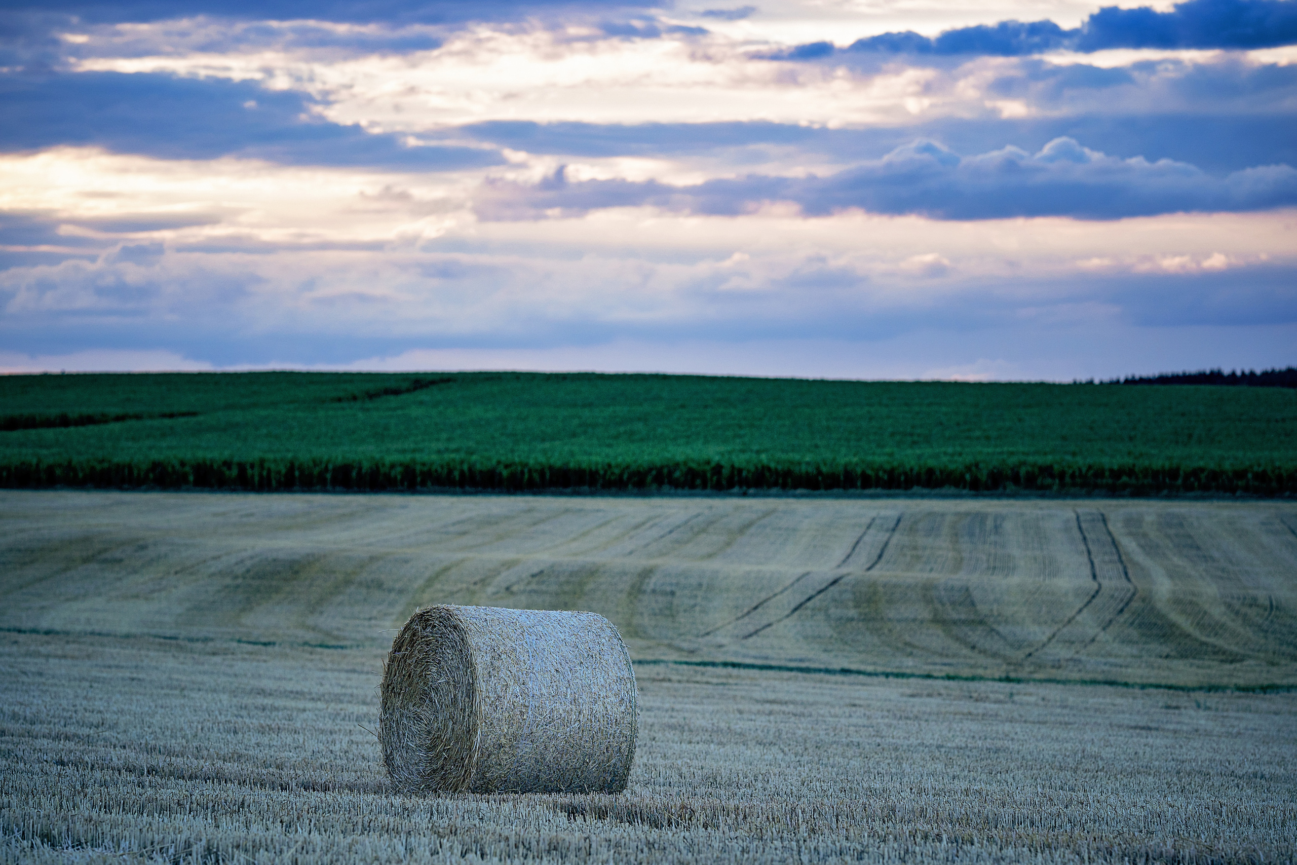 Portrait in the summer evening. Family, Lifestyle and Portrait photograher in Trier, Germany