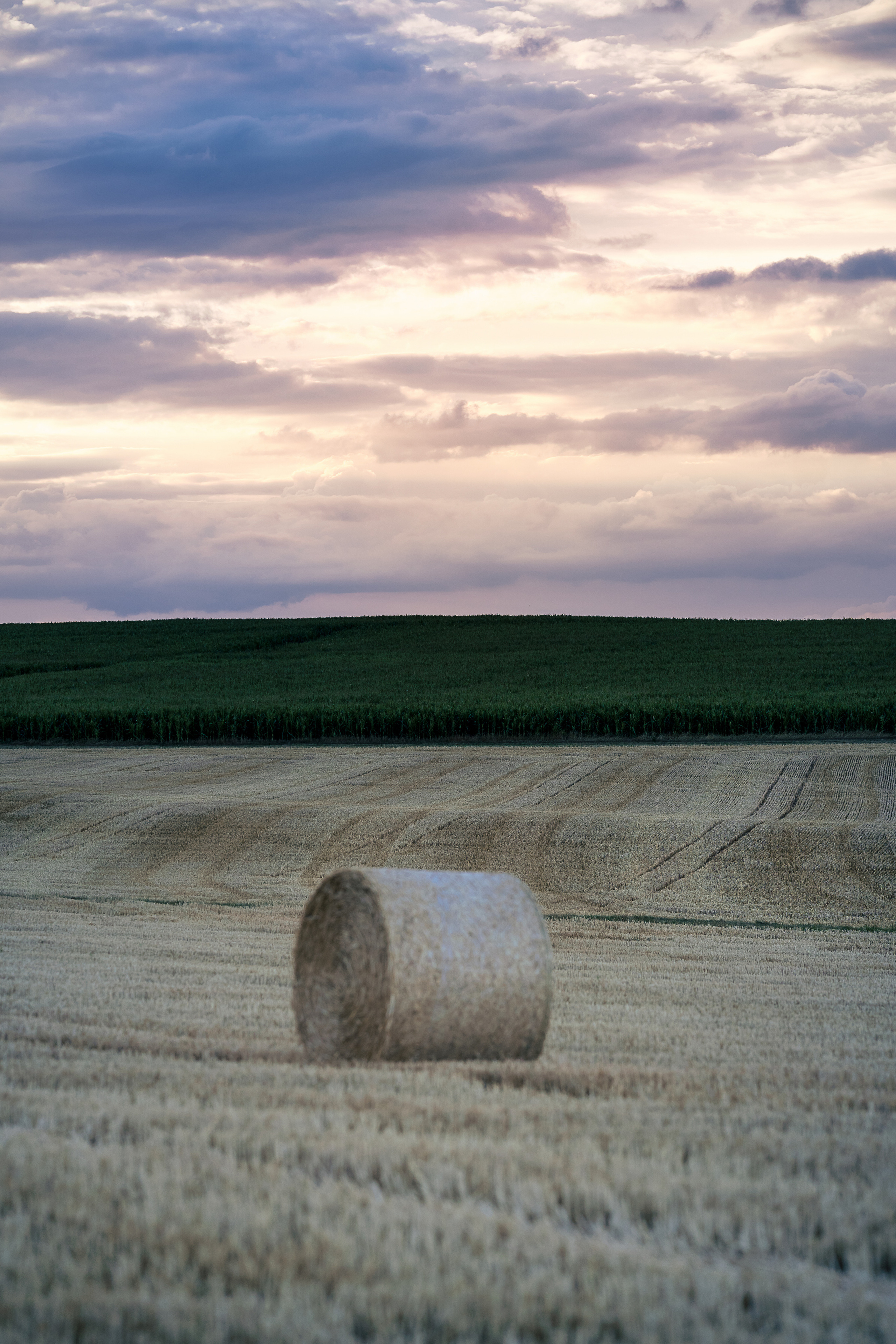 Portrait in the summer evening. Family, Lifestyle and Portrait photograher in Trier, Germany