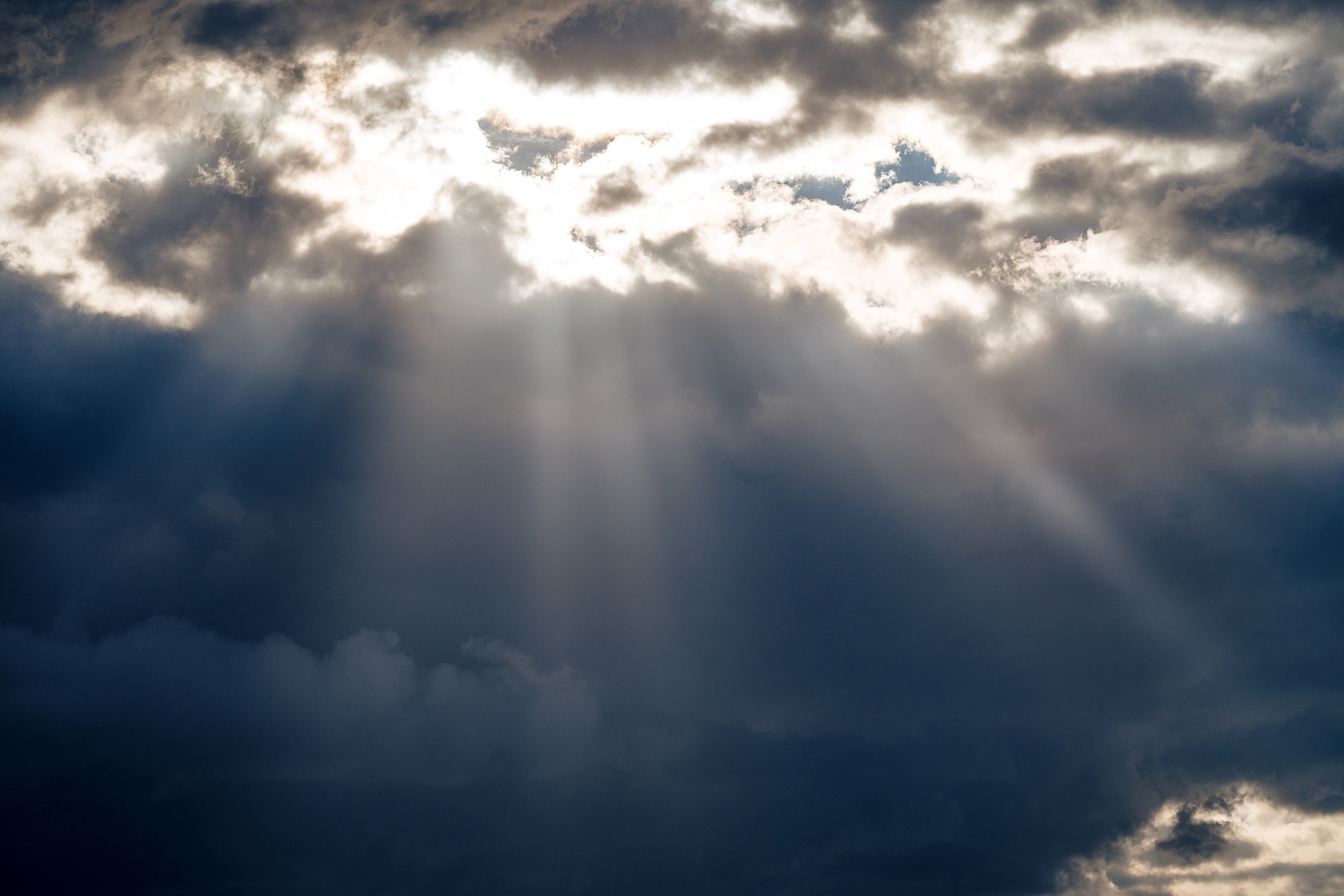 Portrait in the summer evening. Family, Lifestyle and Portrait photograher in Trier, Germany