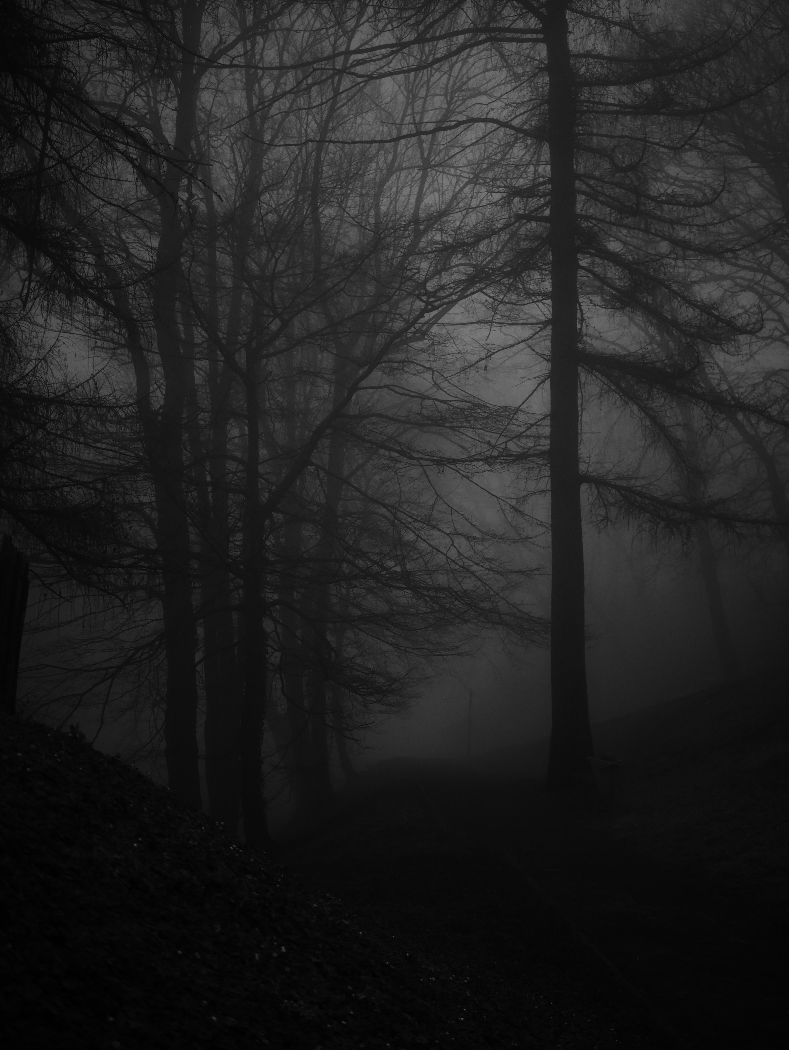 Demyd — art collection