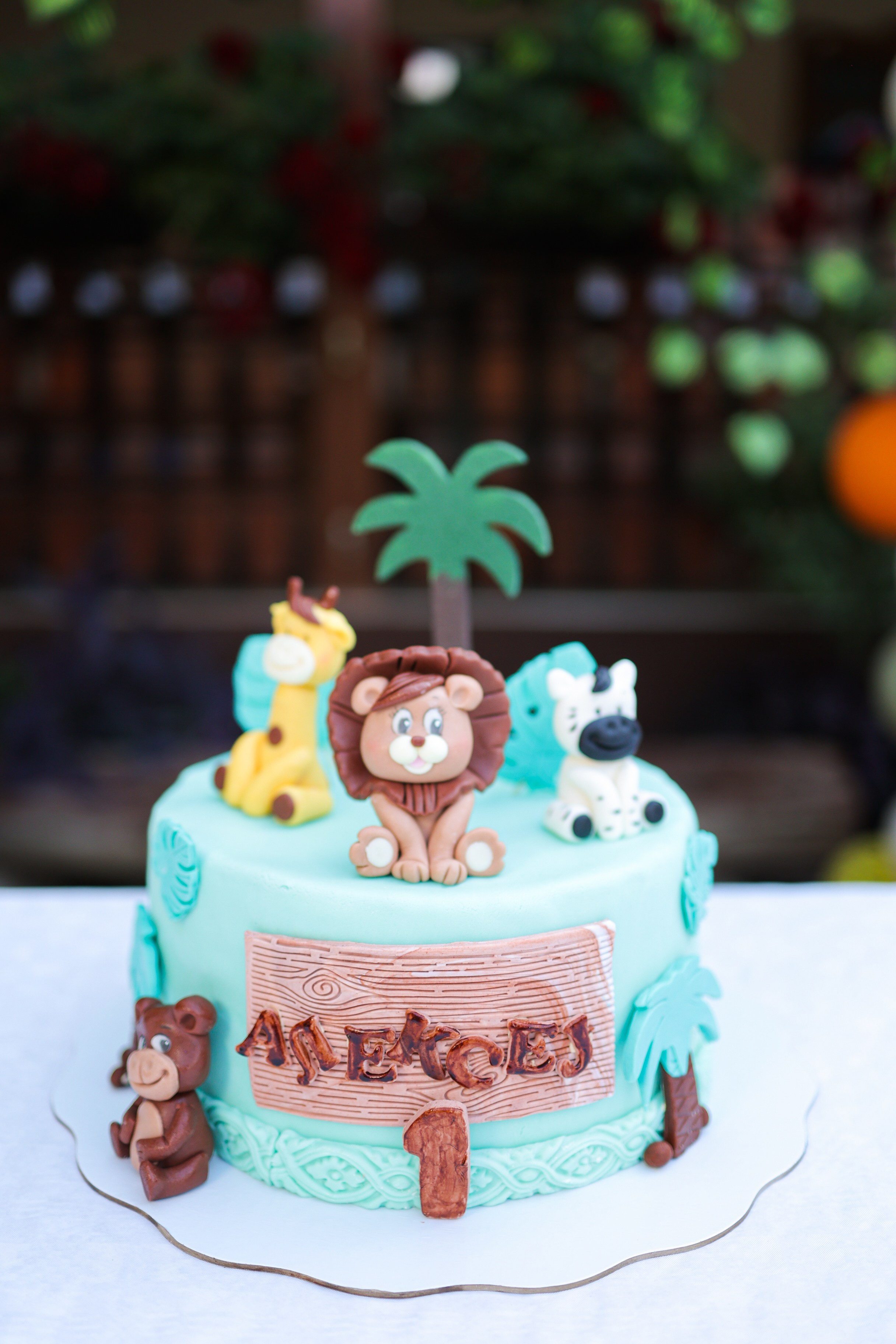 Aleksej. Vlada toskic wedding and event photographer