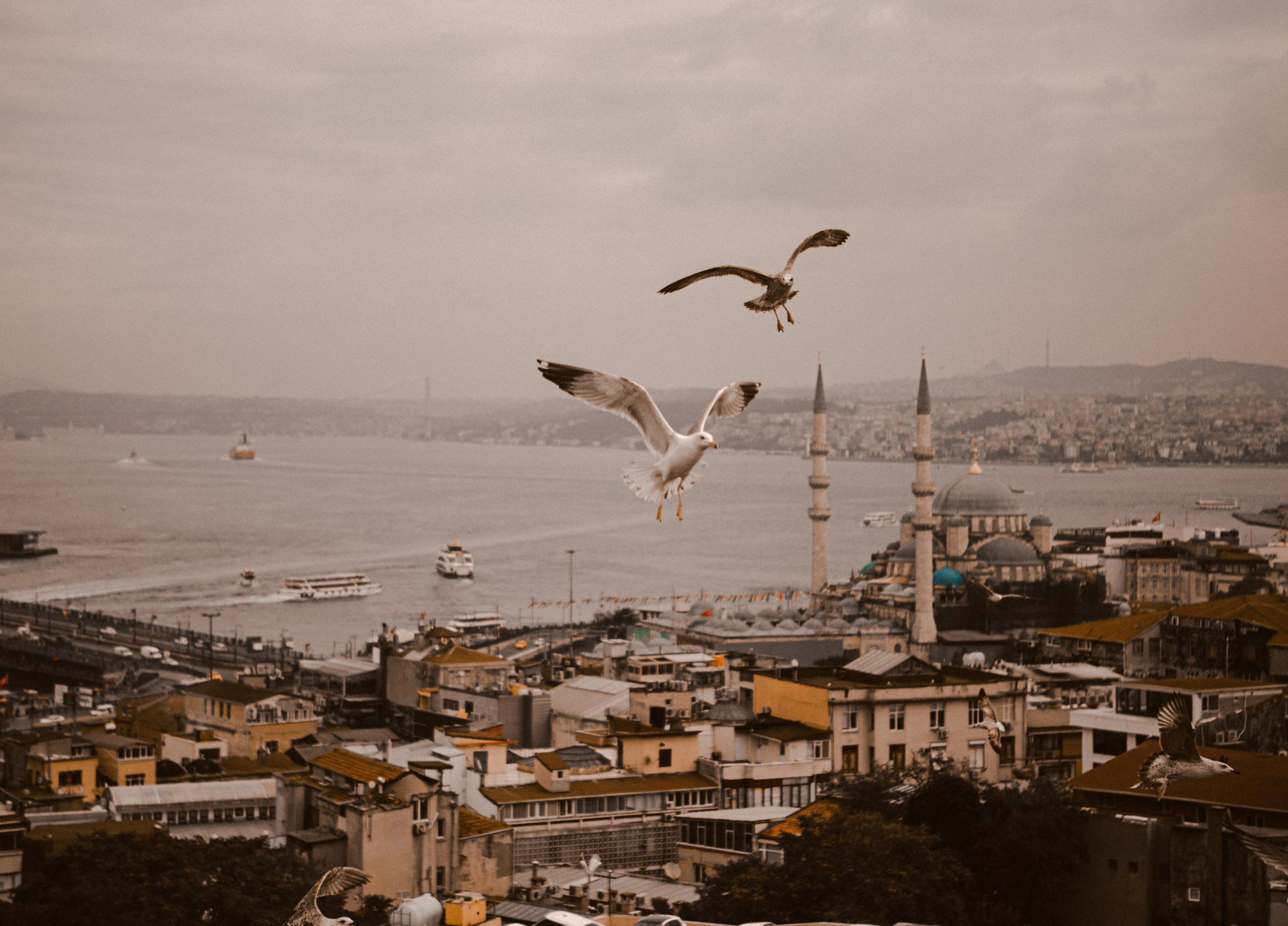 Weronika I Karol. Fotograf Warszawa, Fotograf ślubny, Фотограф свадебный Варшава