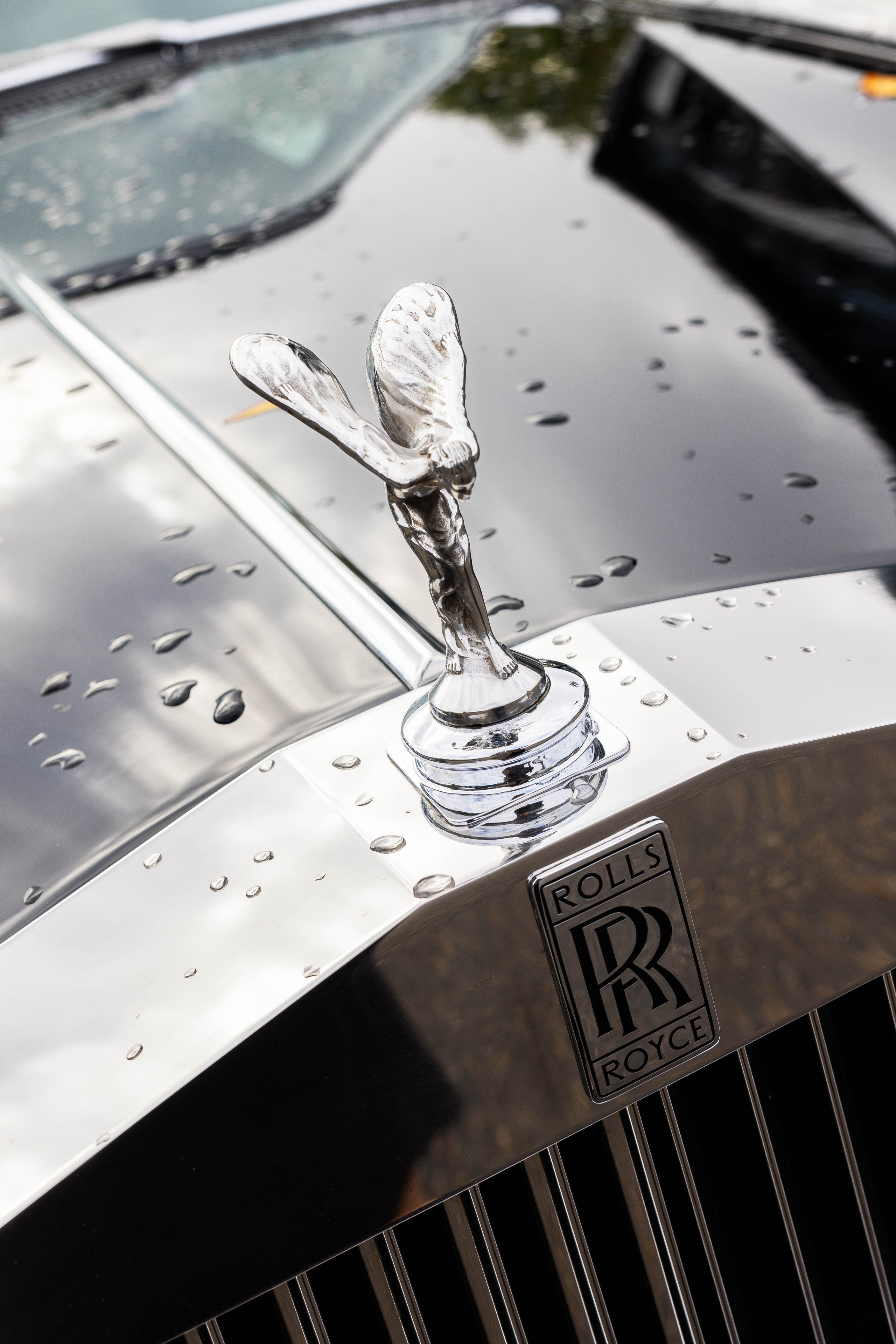 Elegant & Timeless Wedding Photography at Hotel Saskatchewan. Wedding photography and videography in Regina, Saskatchewan