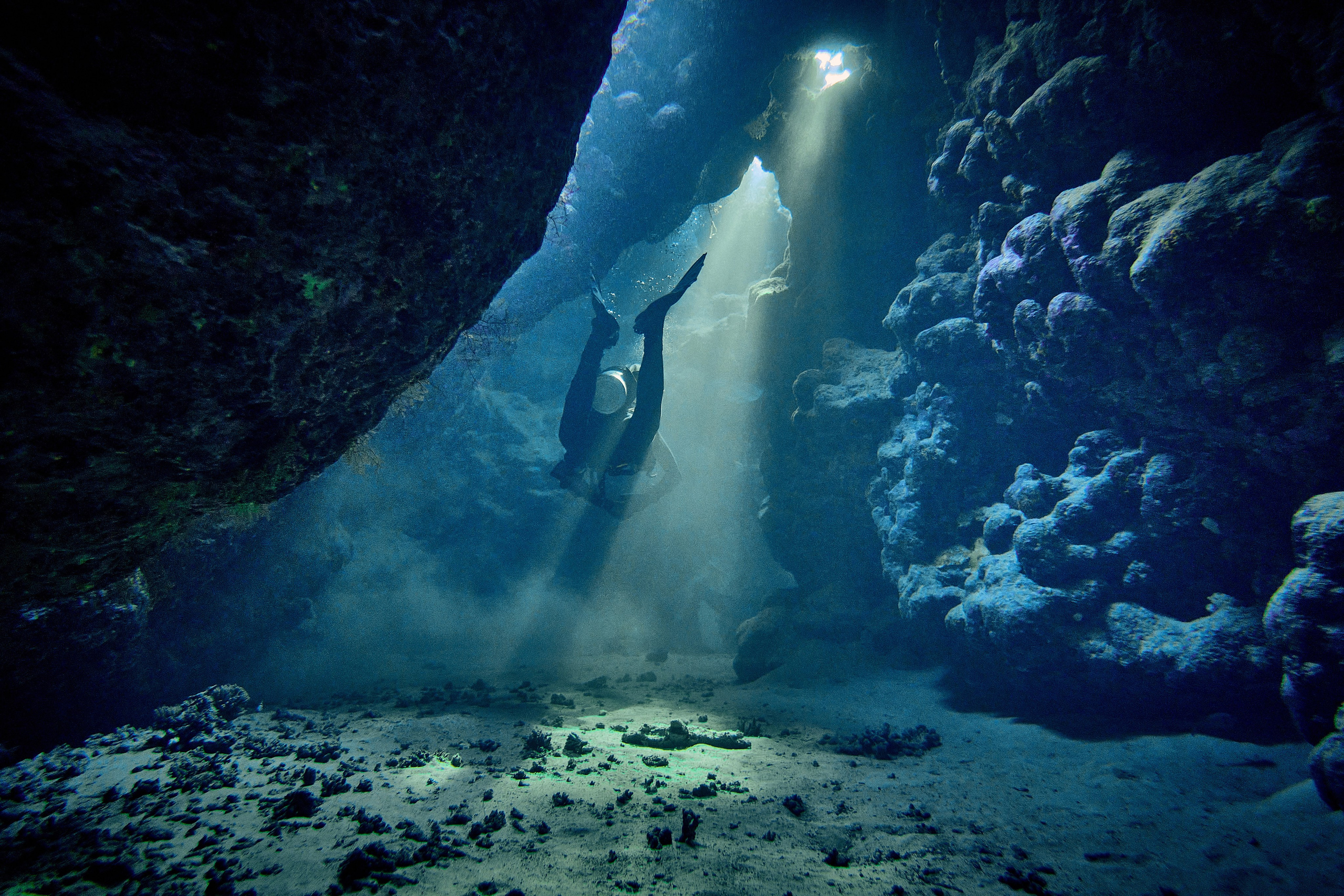 2023-11 - Diving Safari Deep South Egypt. Андрей Шипилов — Фотография & Видеография