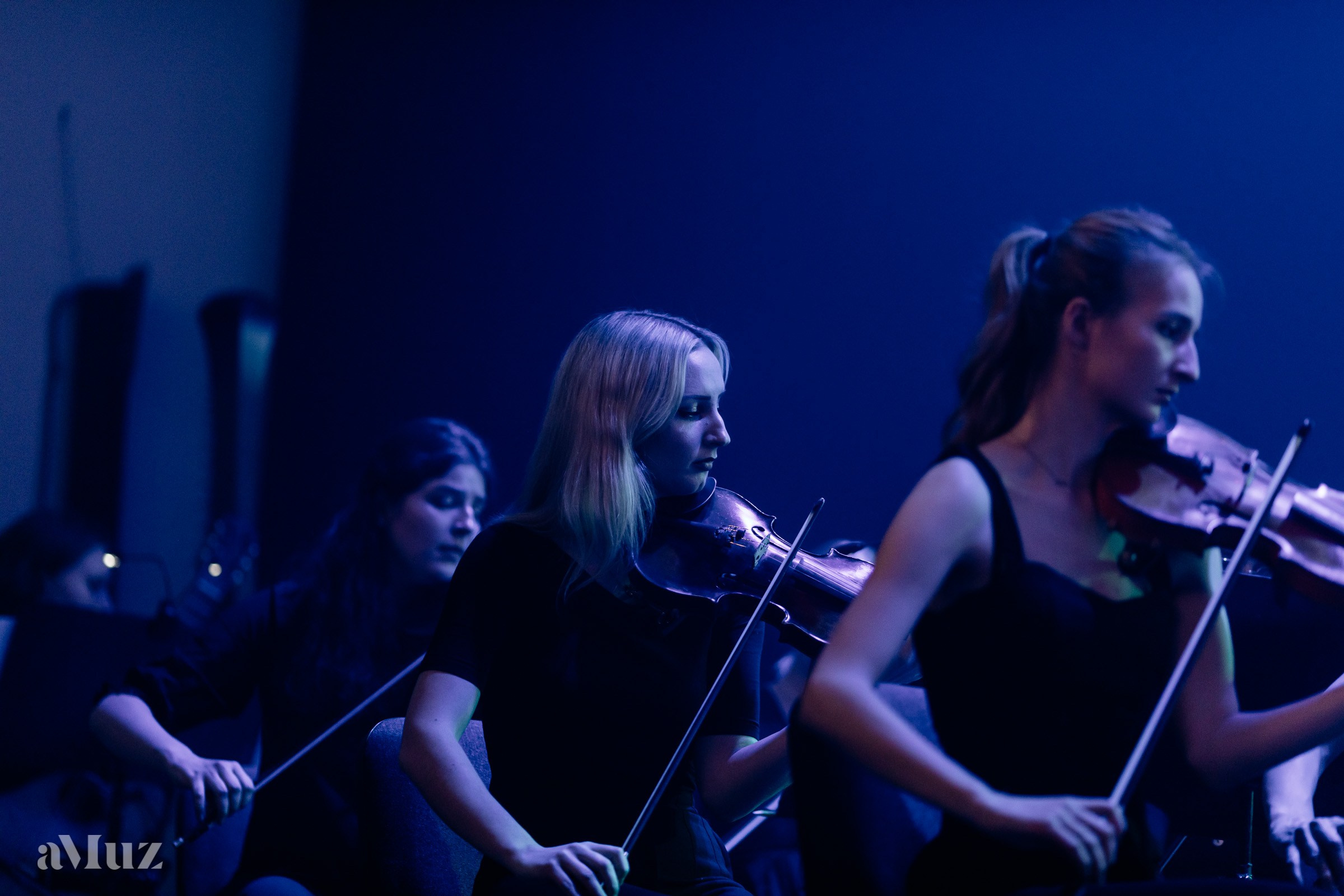 Koncert Amuz.pl. Fotograf Ślubny Warszawa - Sesje Biznesowe Rodzinne Eventy