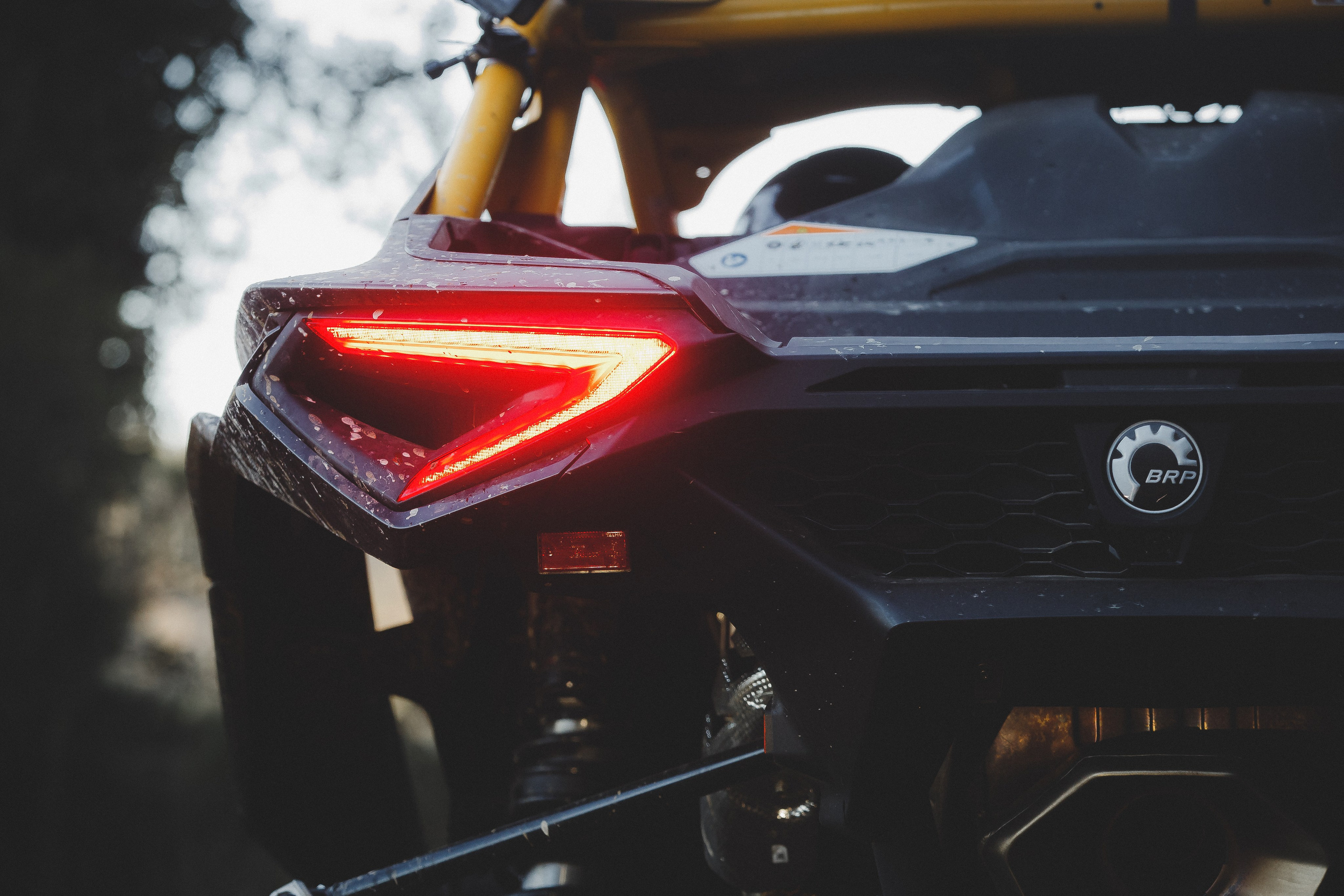 Reportage sport. Wedding photographer and videographer Europe