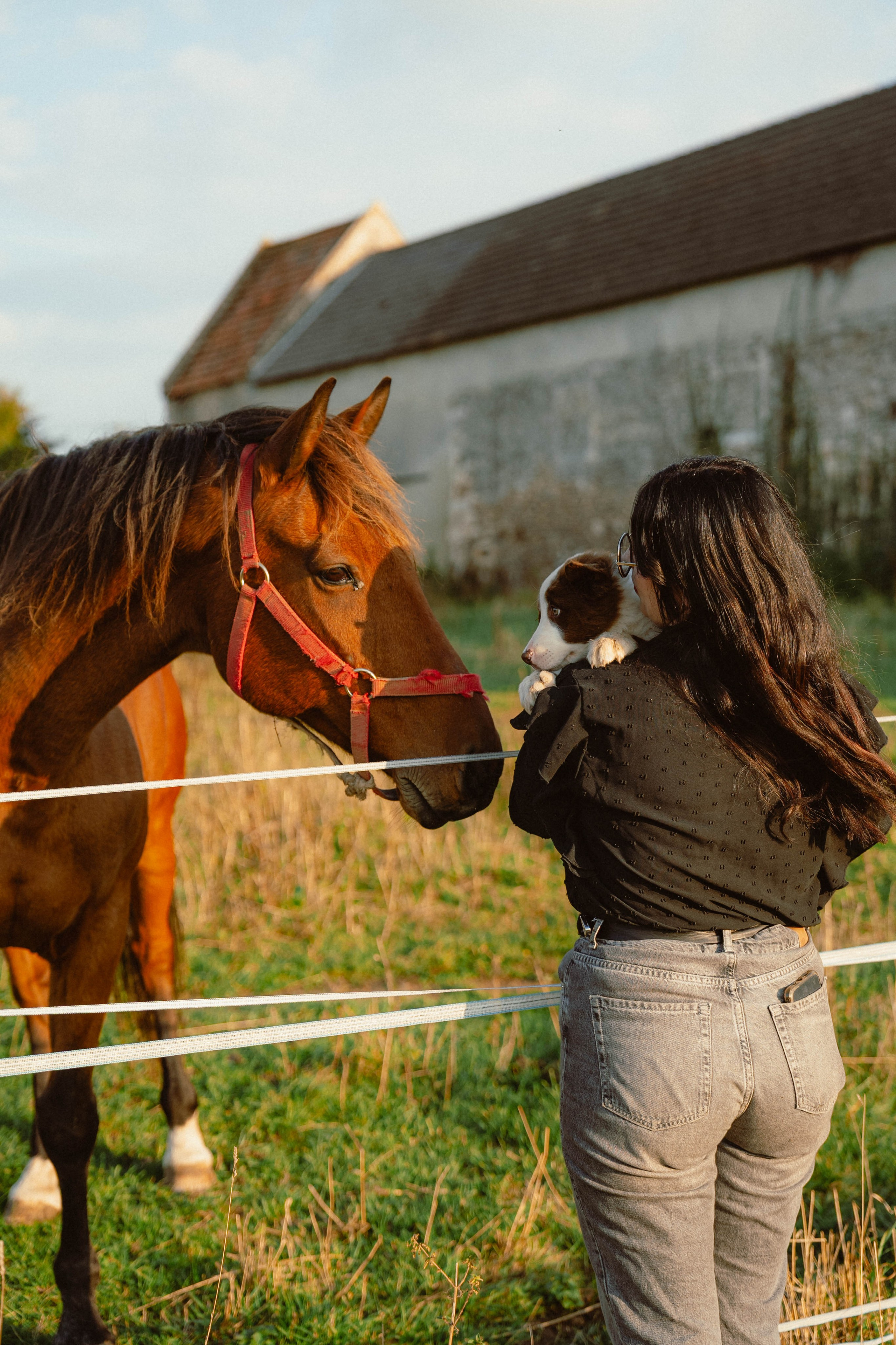 Victoria & Mehdi. Weeding photographer / event / portrait