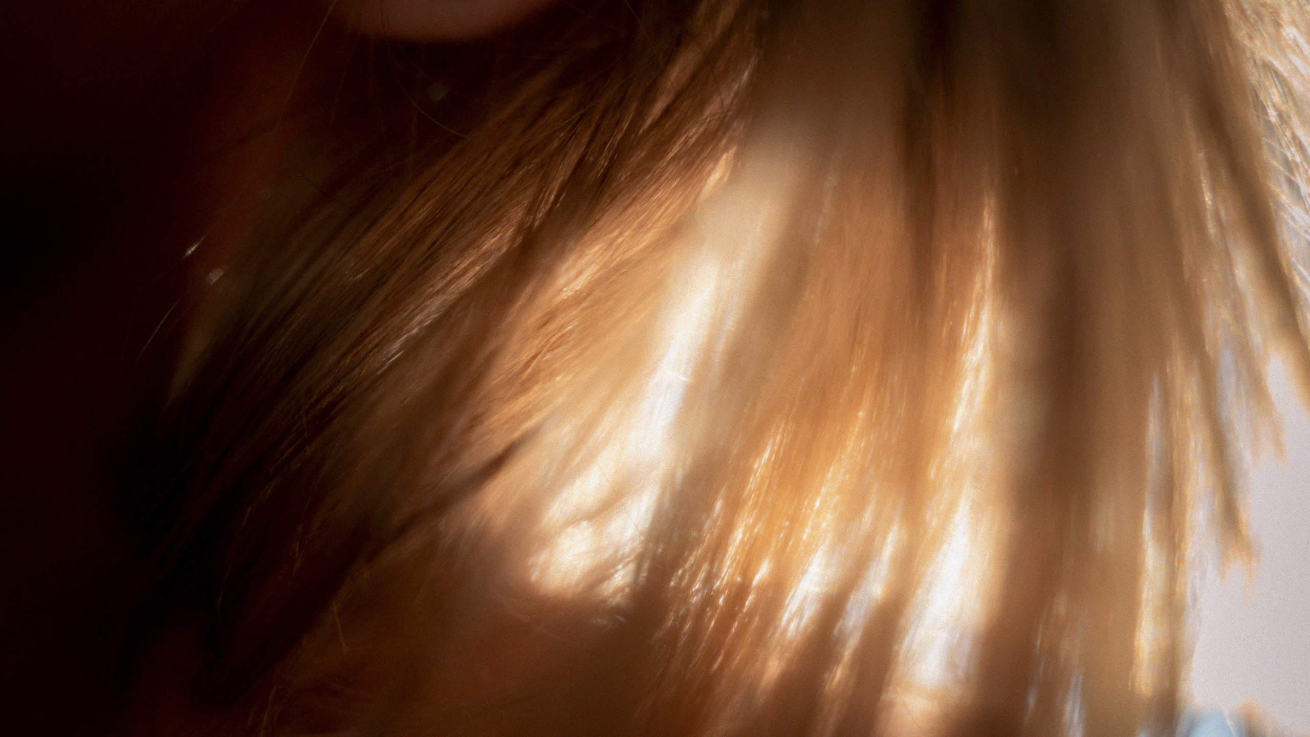 Sunset. Zhukov studio