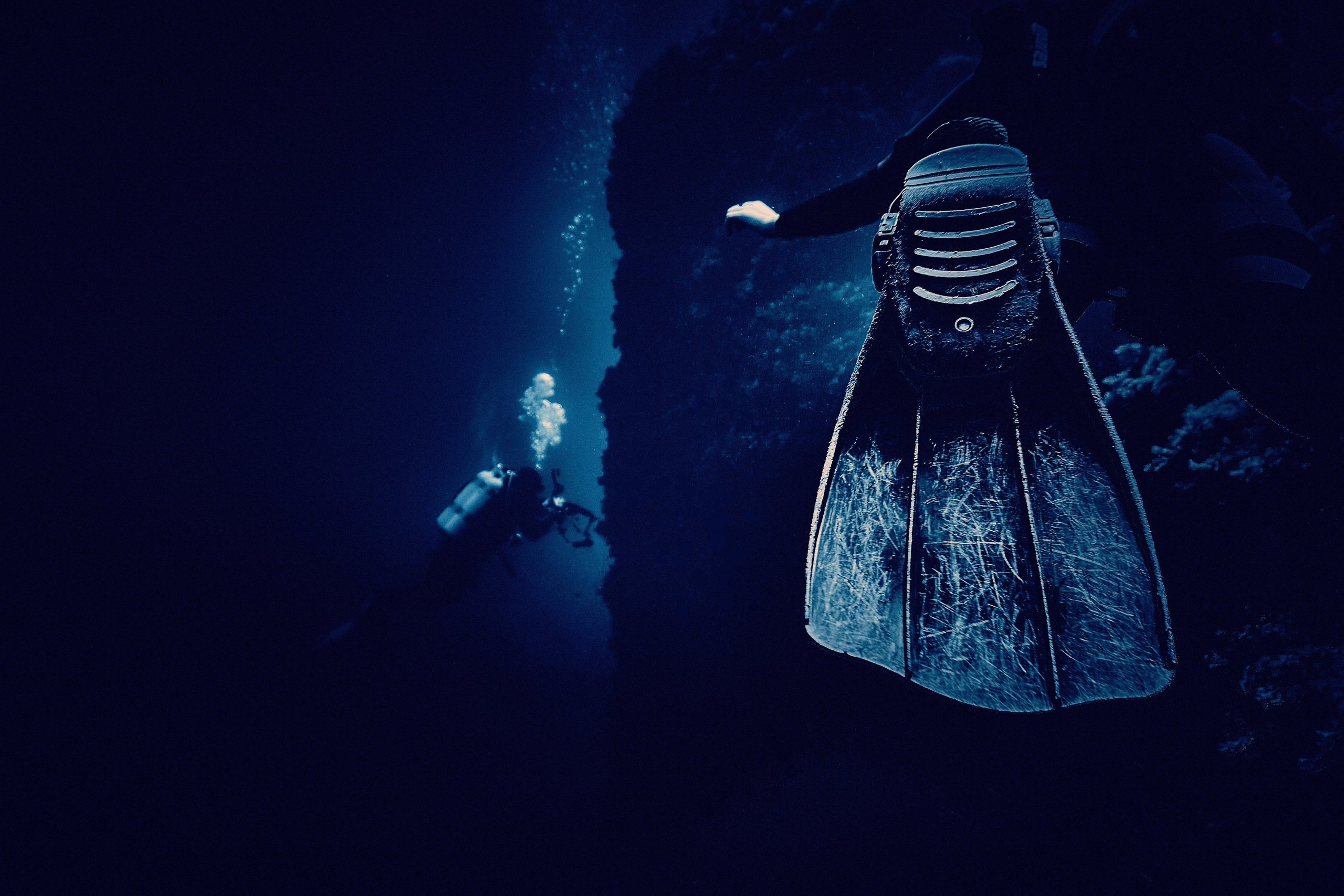 Fotograf podwodny Andriej Szypiłow. Andriej Szypilow - Fotografia & Wideografia