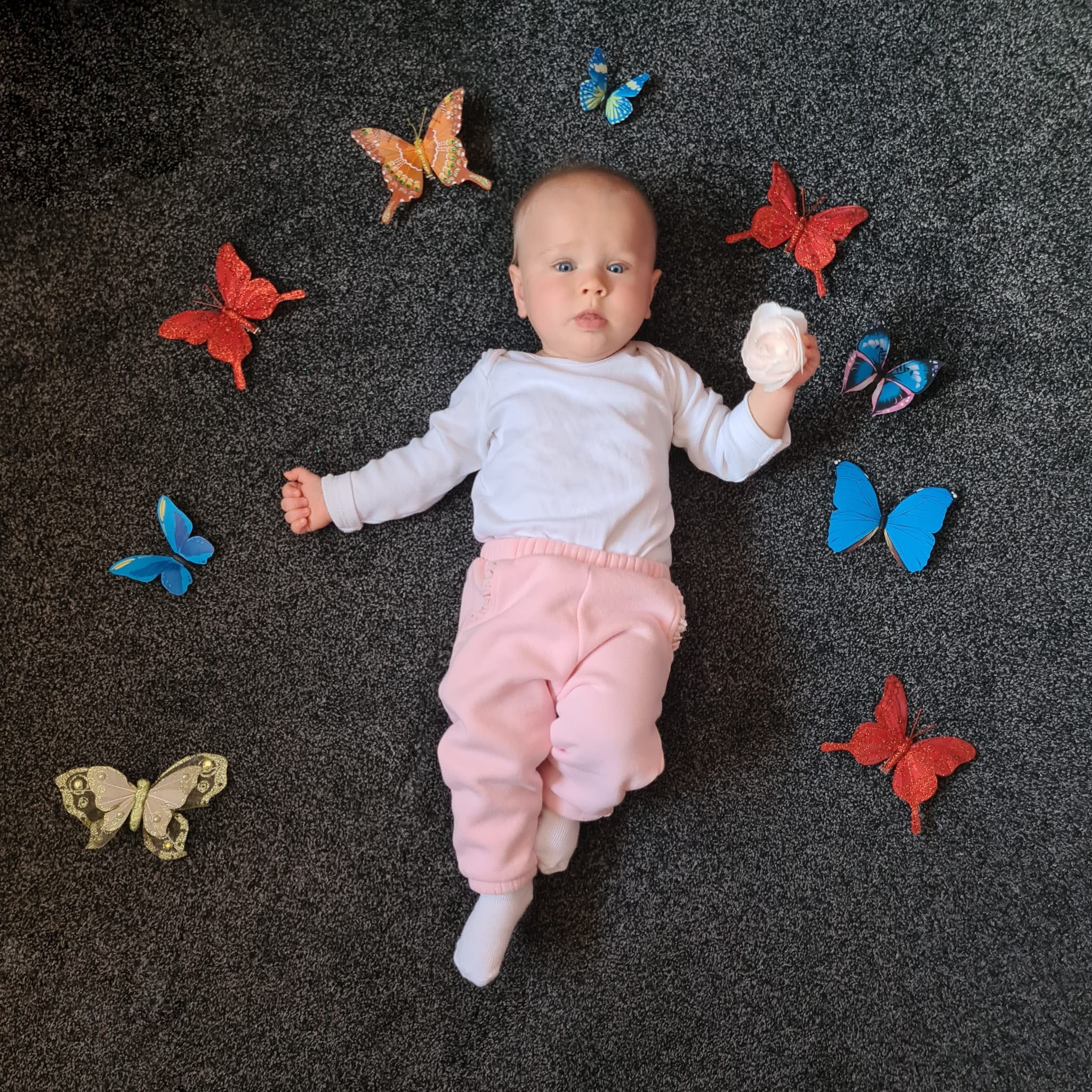 Toddler. Family and children photographer from Manchester, country England