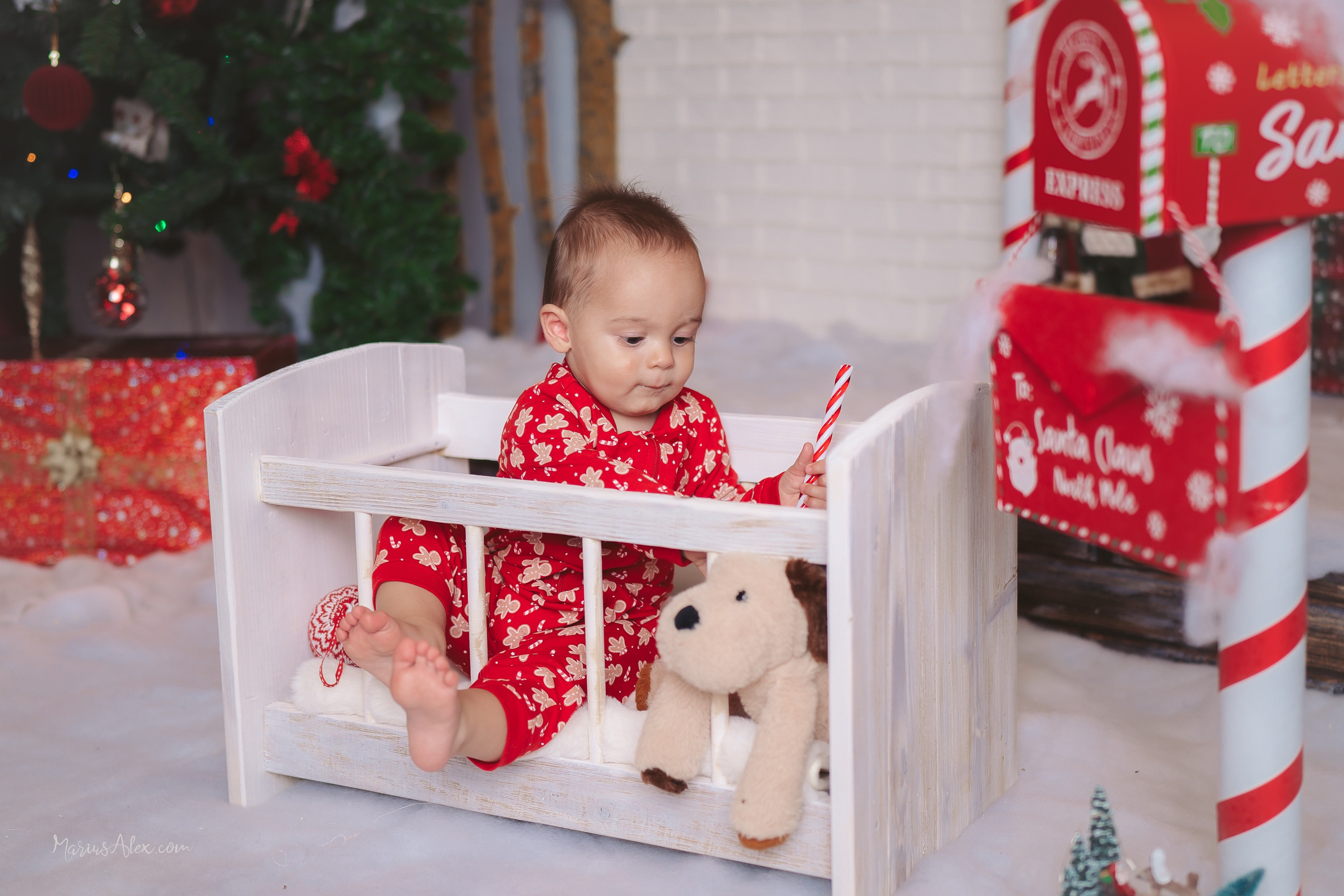 Familia Hacman - Un Crăciun de poveste. Marius Alex fotograf de eveniment si portret din Suceava