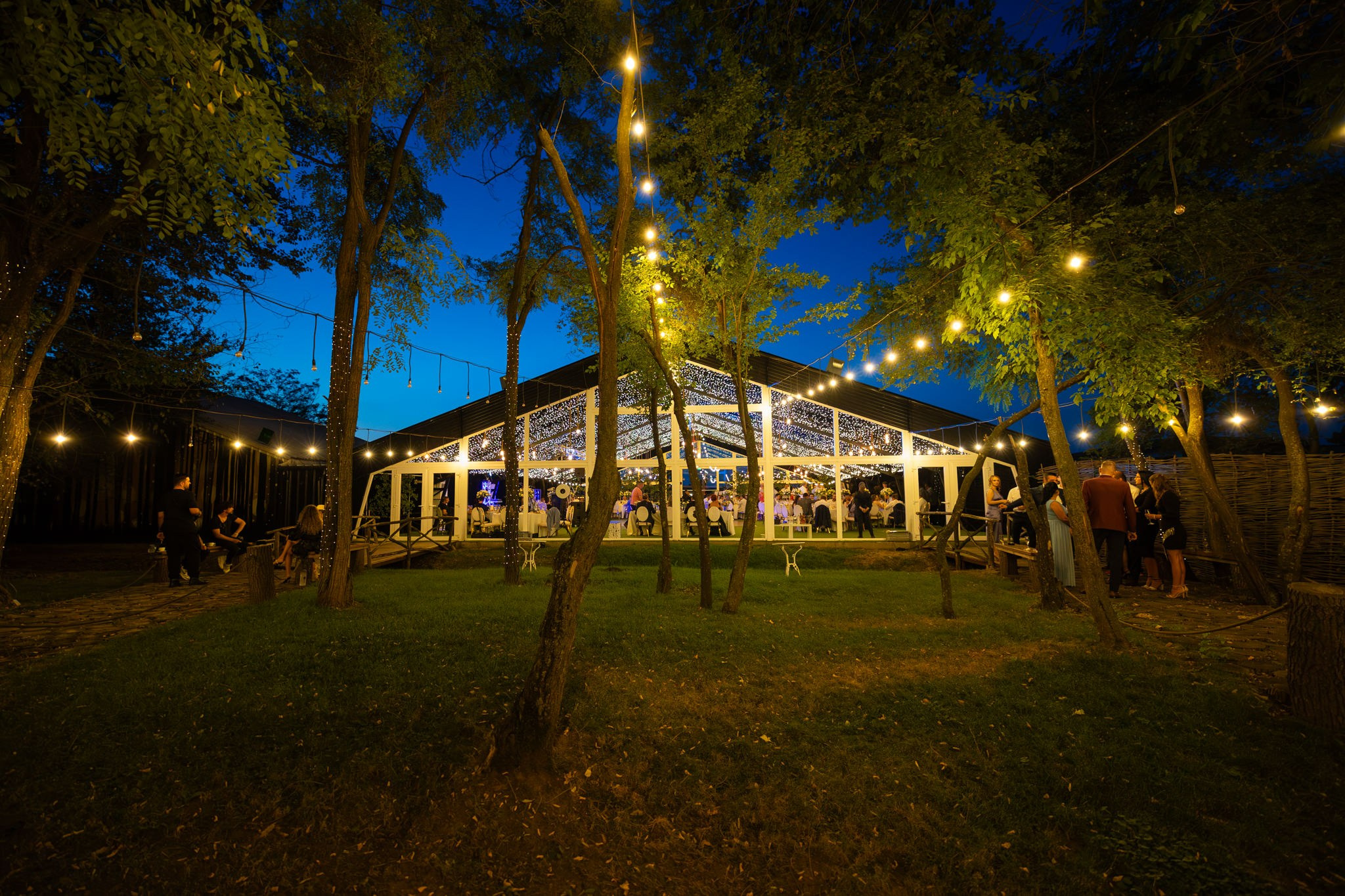 Nunta Adina si Mihai la Padurile Regale. Fotograf nunta Bucuresti - Manu Ivanciu