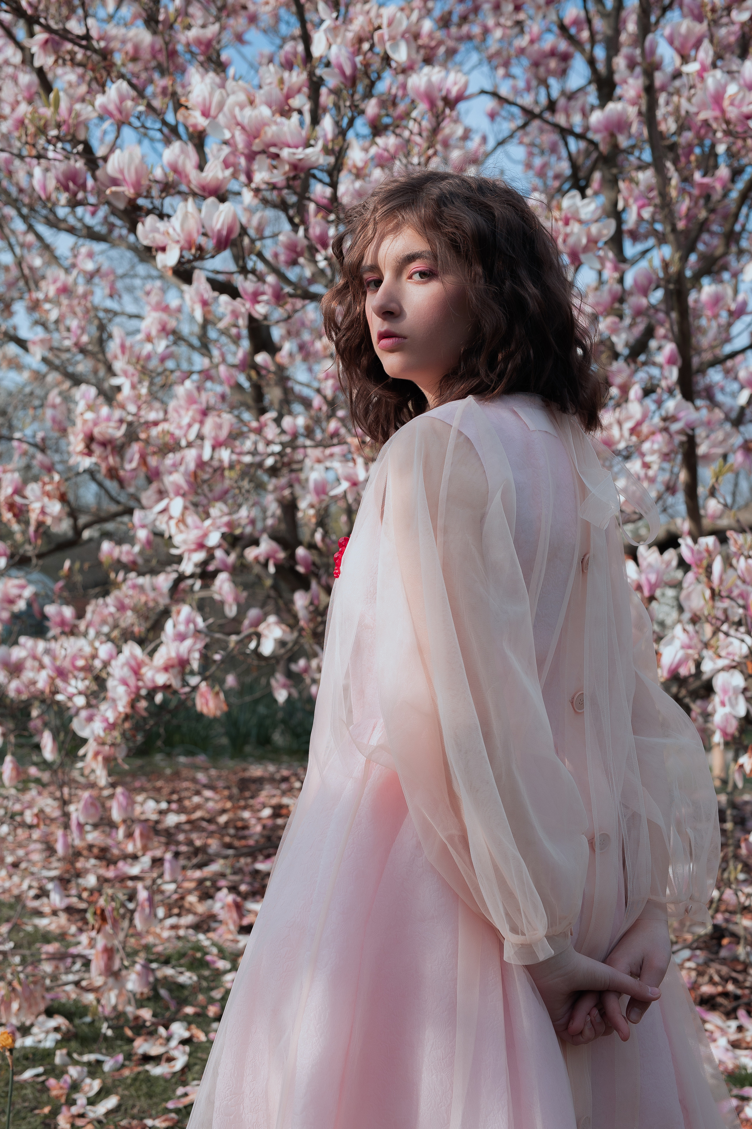 Fotoshootings unter Magnolien. Familien & Hochzeitfotografin Nadja Holzmann