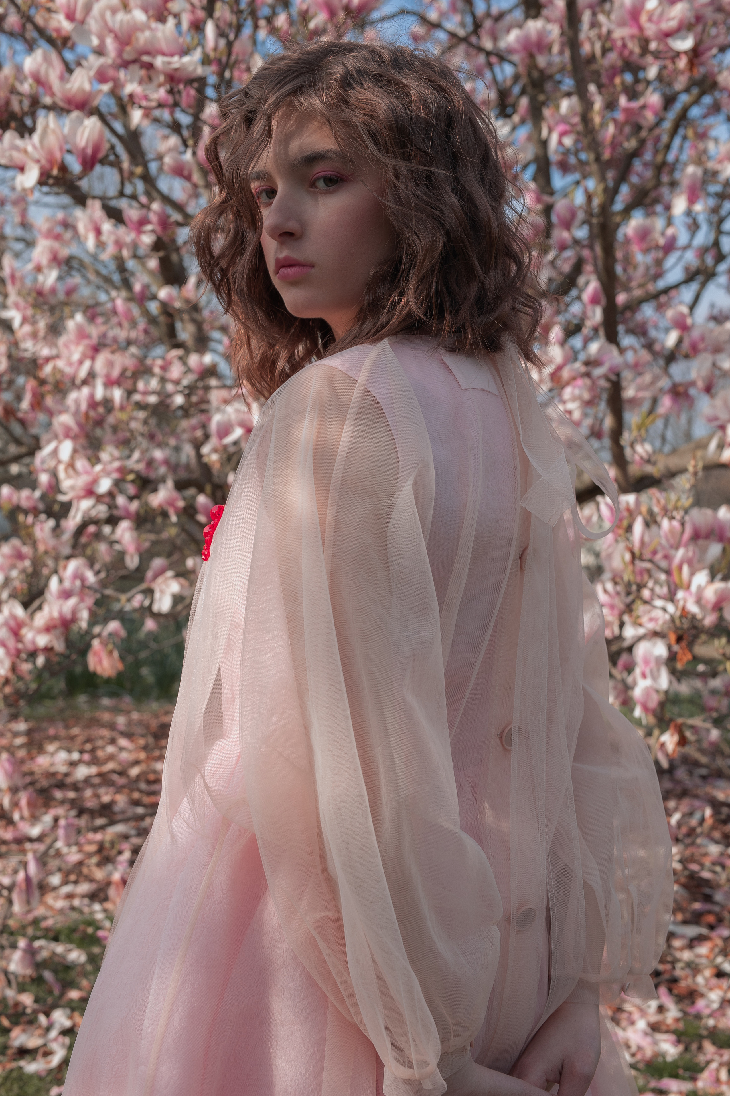 Fotoshootings unter Magnolien. Familien & Hochzeitfotografin Nadja Holzmann