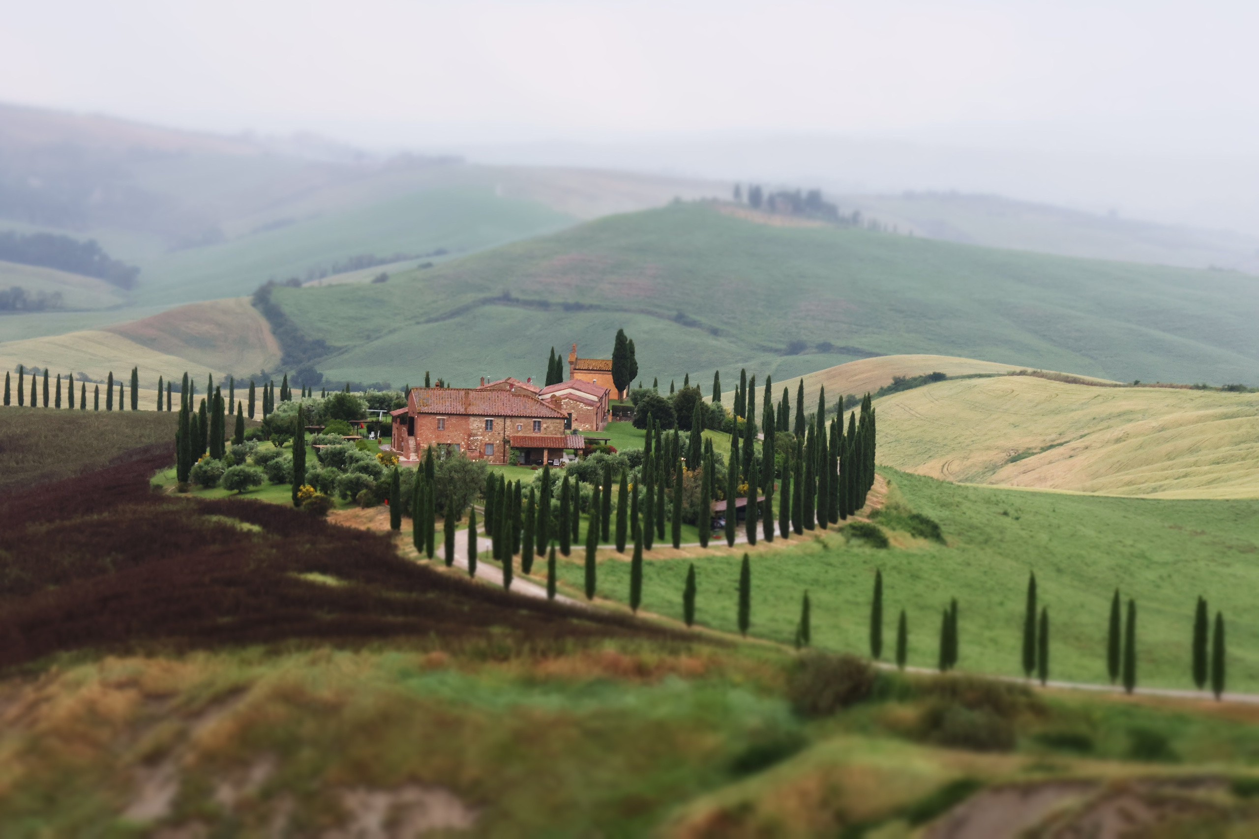Toskanische Landschaft: Val d’Orcia mit Weinbergen und Zypressen
