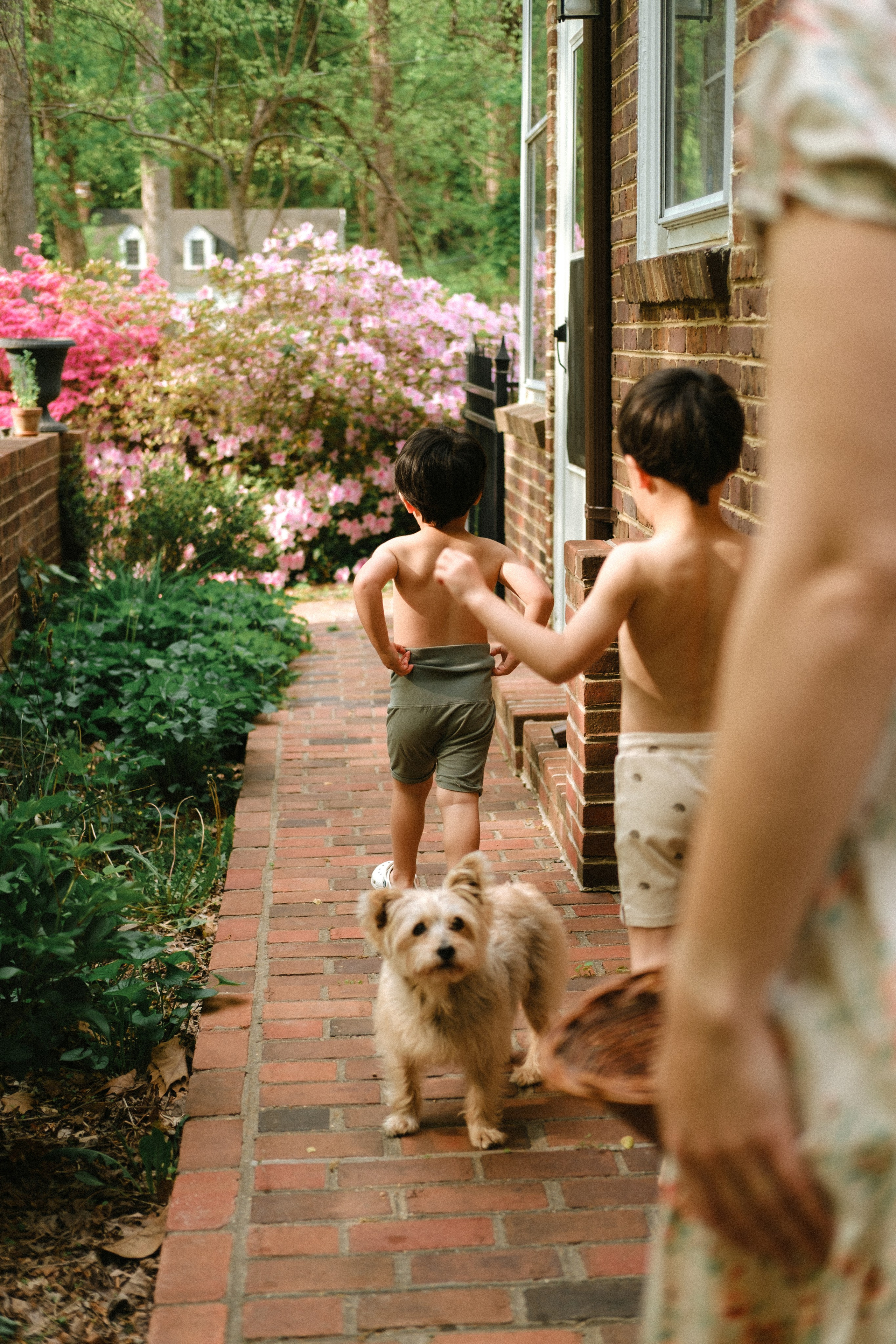 Family Photographer Anna Dobrovolskaia | Richmond, VA