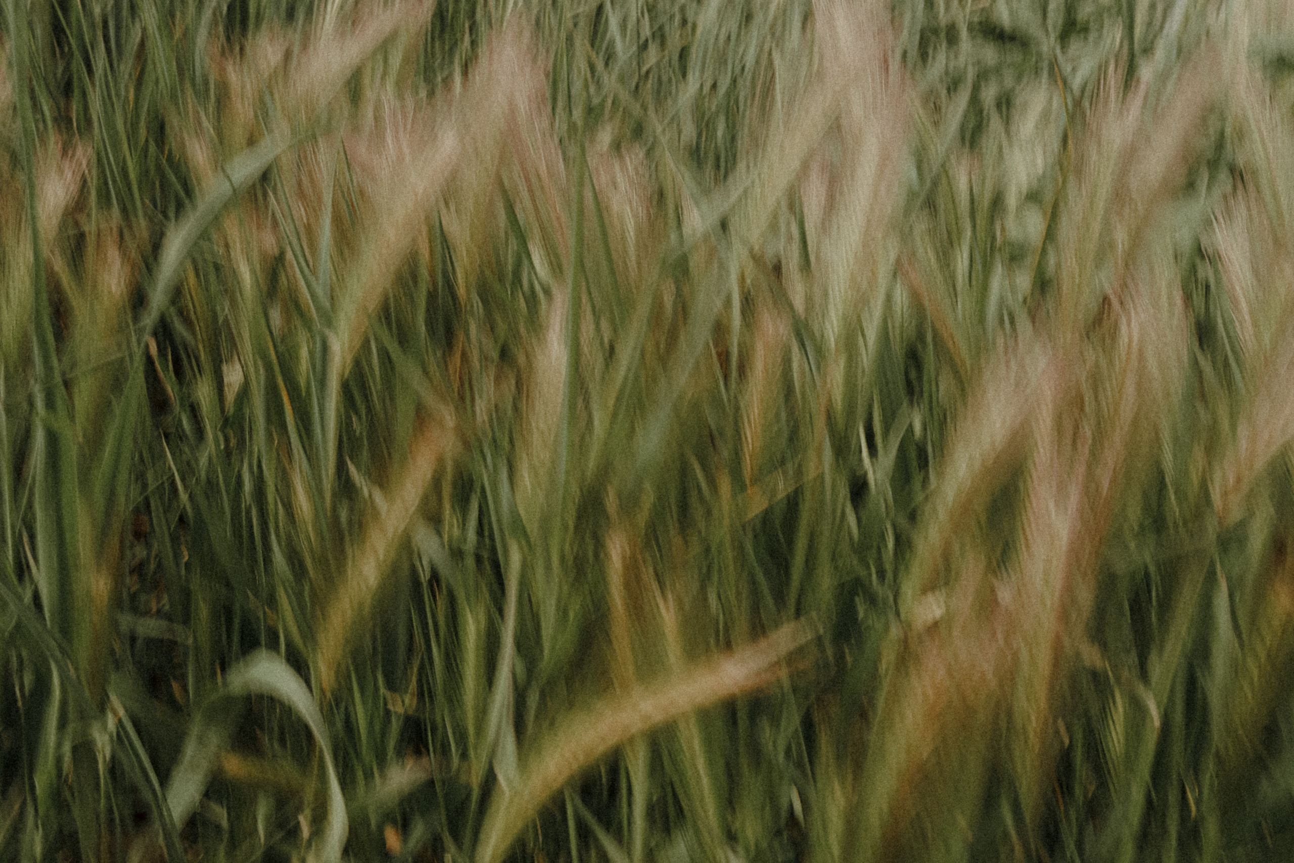 People. Photographe à la Seyne sur Mer, Var