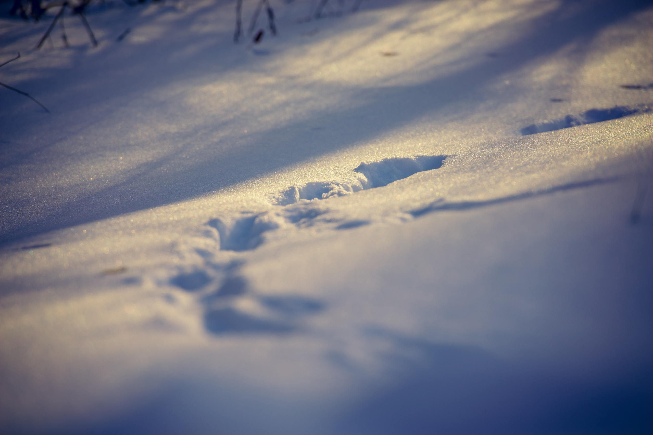 Chisinau. Fotograf de familie Vitalie Budoianu