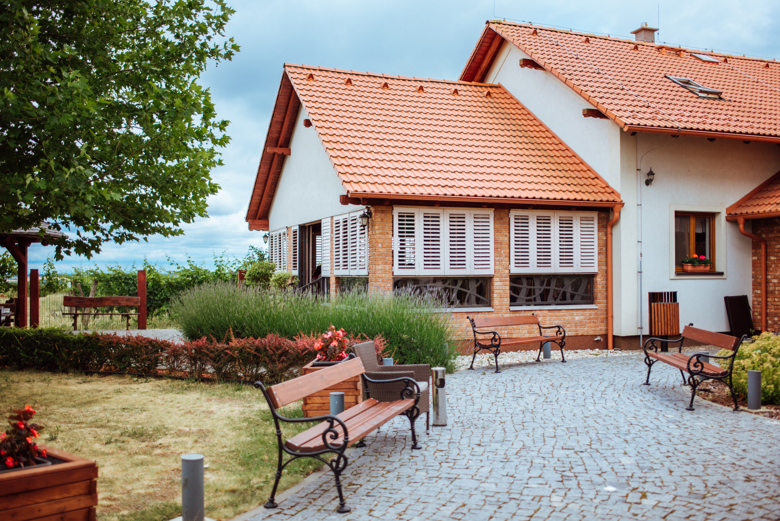 Lucie + Michal. Lifestyle, wedding and family photographer