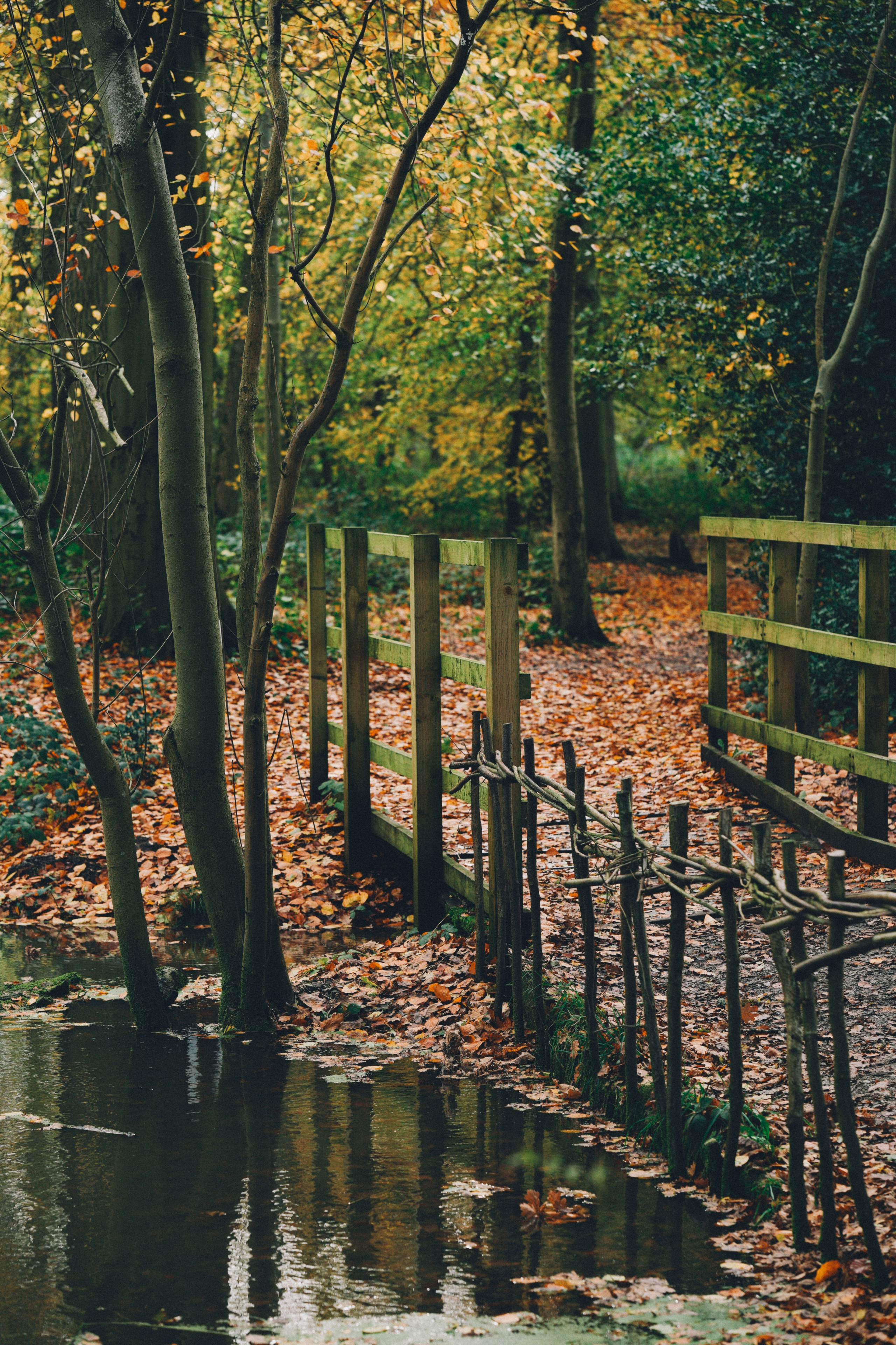Brand photography in National trust. Creative Family, Brand, Boudoir and Wedding Photographer in Solihull & Birmingham Irina Zoteeva