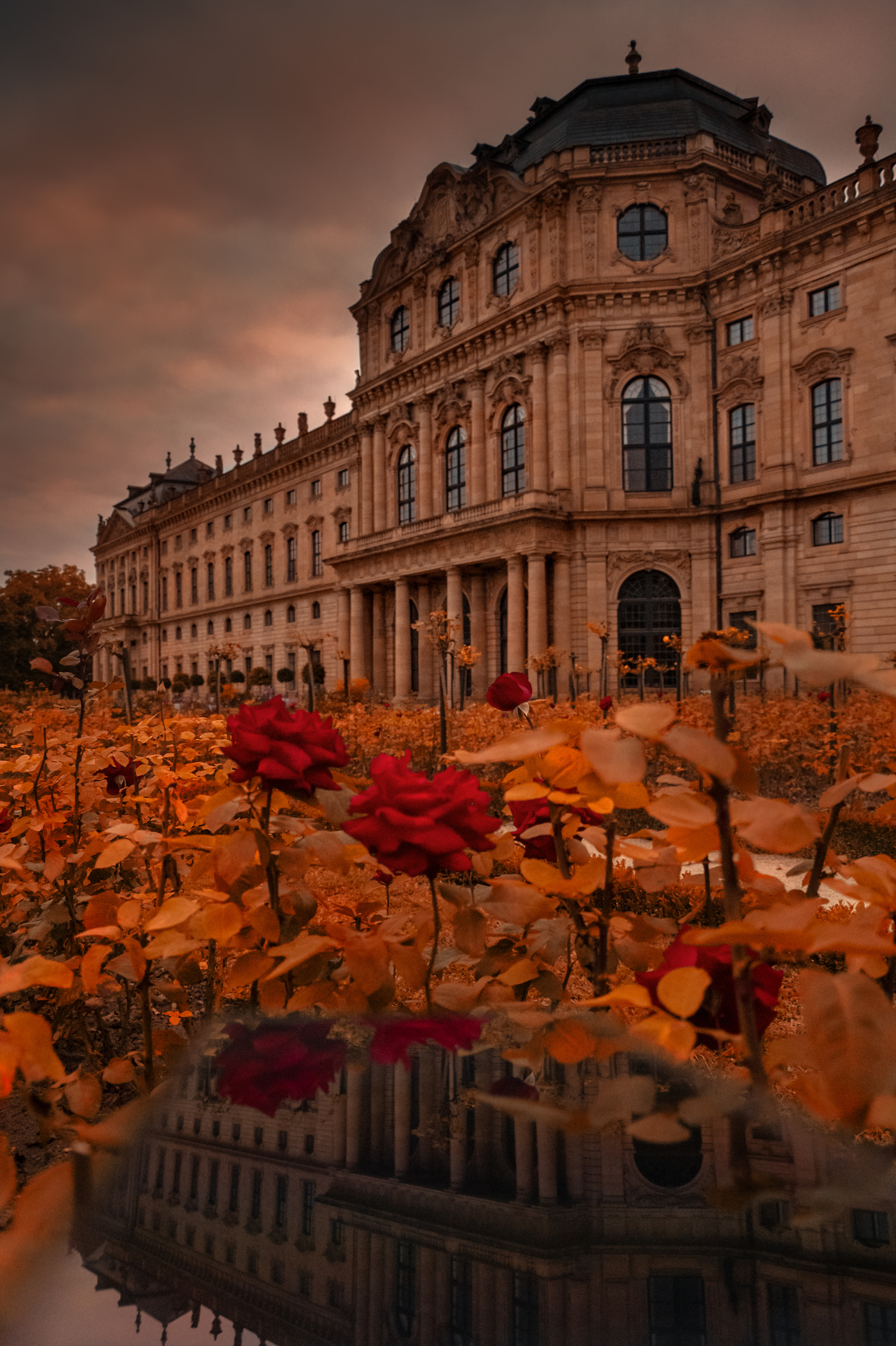 Hochzeitsfotograf Würzburg – Anna Saribekyan | Natürliche Hochzeitsfotografie. Anna Saribekyan – Beste Hochzeitsfotografin in Würzburg, Top 10 in Deutschland