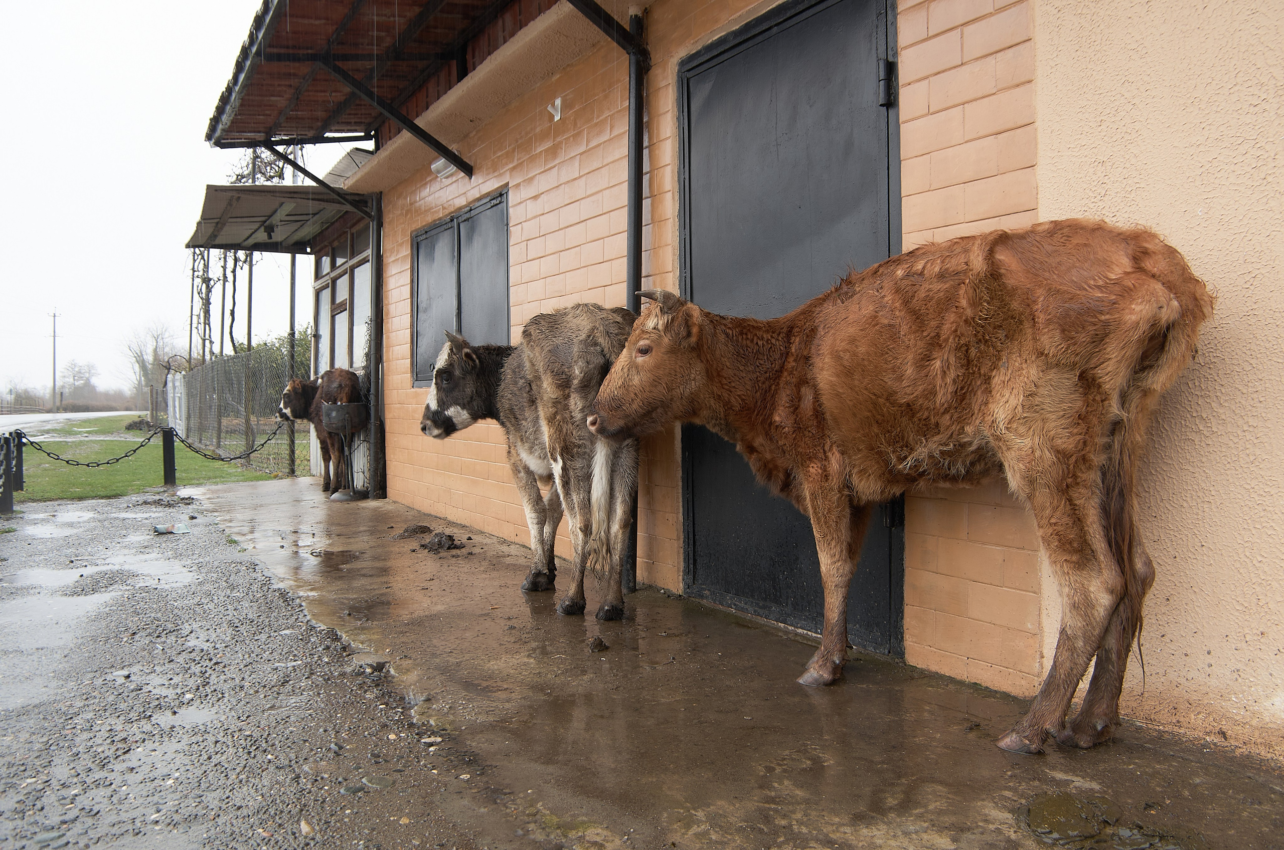 Street. Yuri Popkov | Photographer