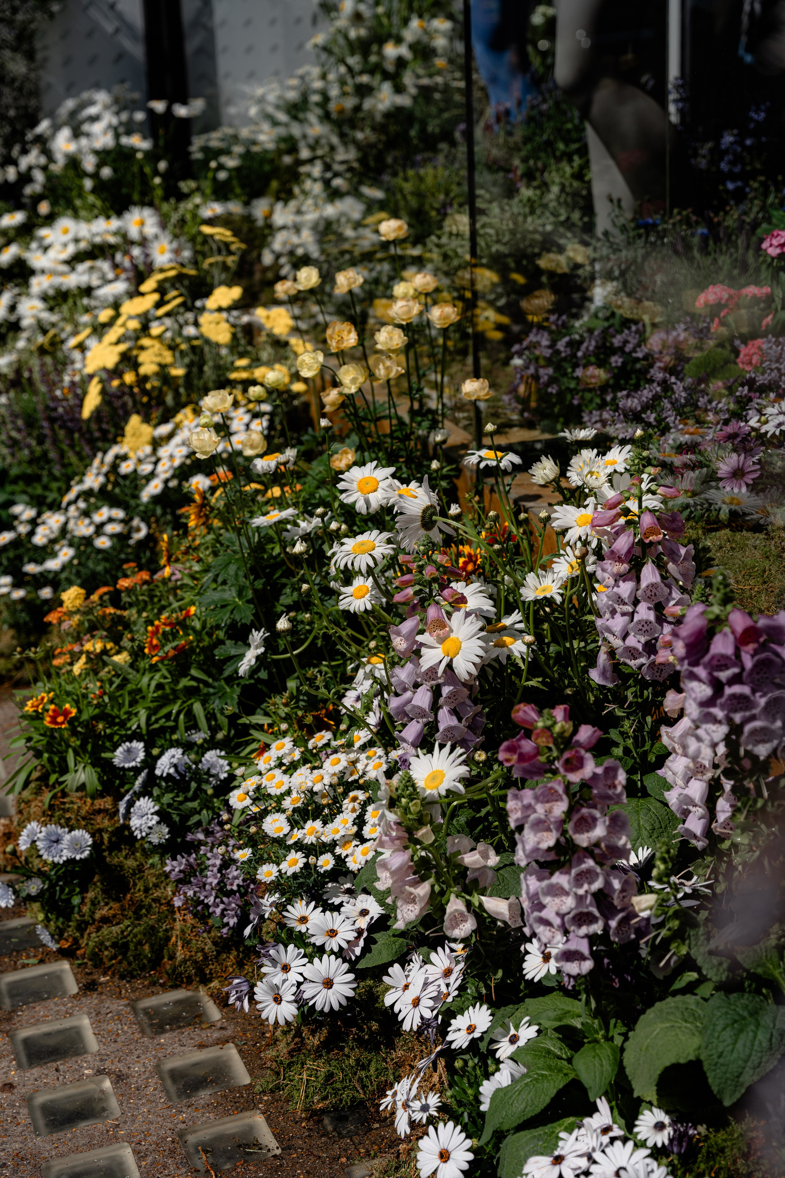 Chelsea_in_bloom. Tonya Kyrylenko photographer in London