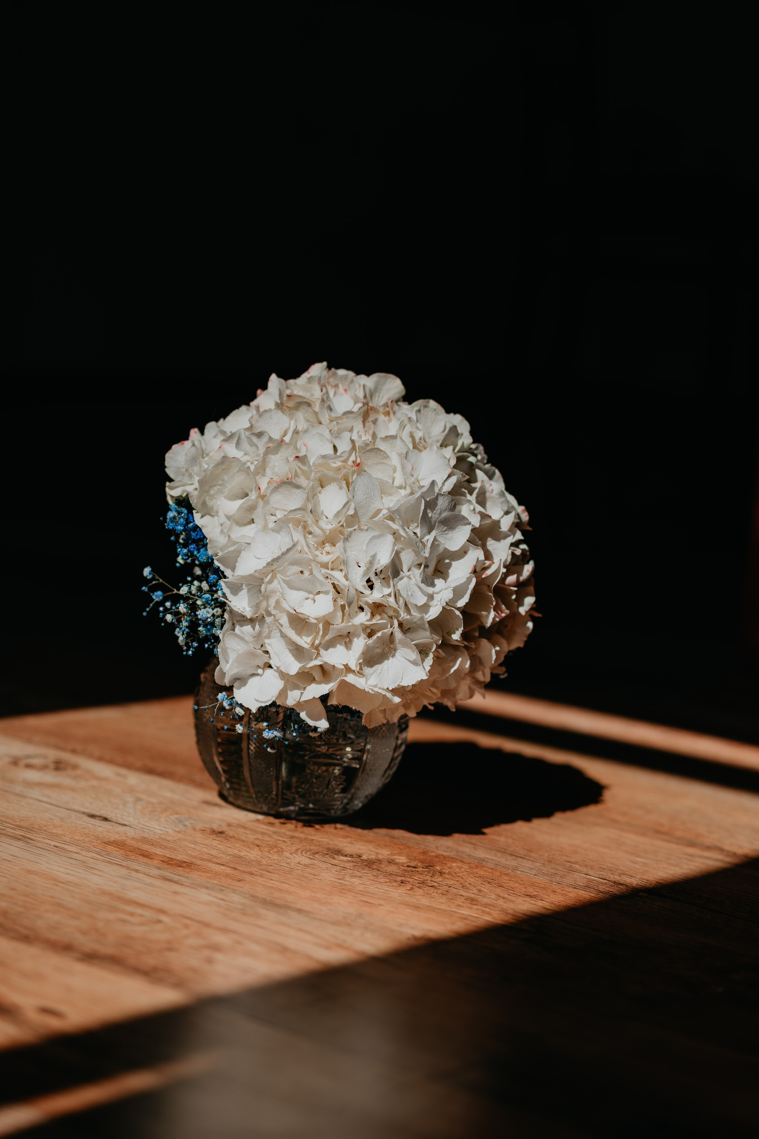 PORTFOLIO. Fotograf ślubny & lifestyle Gdańsk, Karolina Baczewska