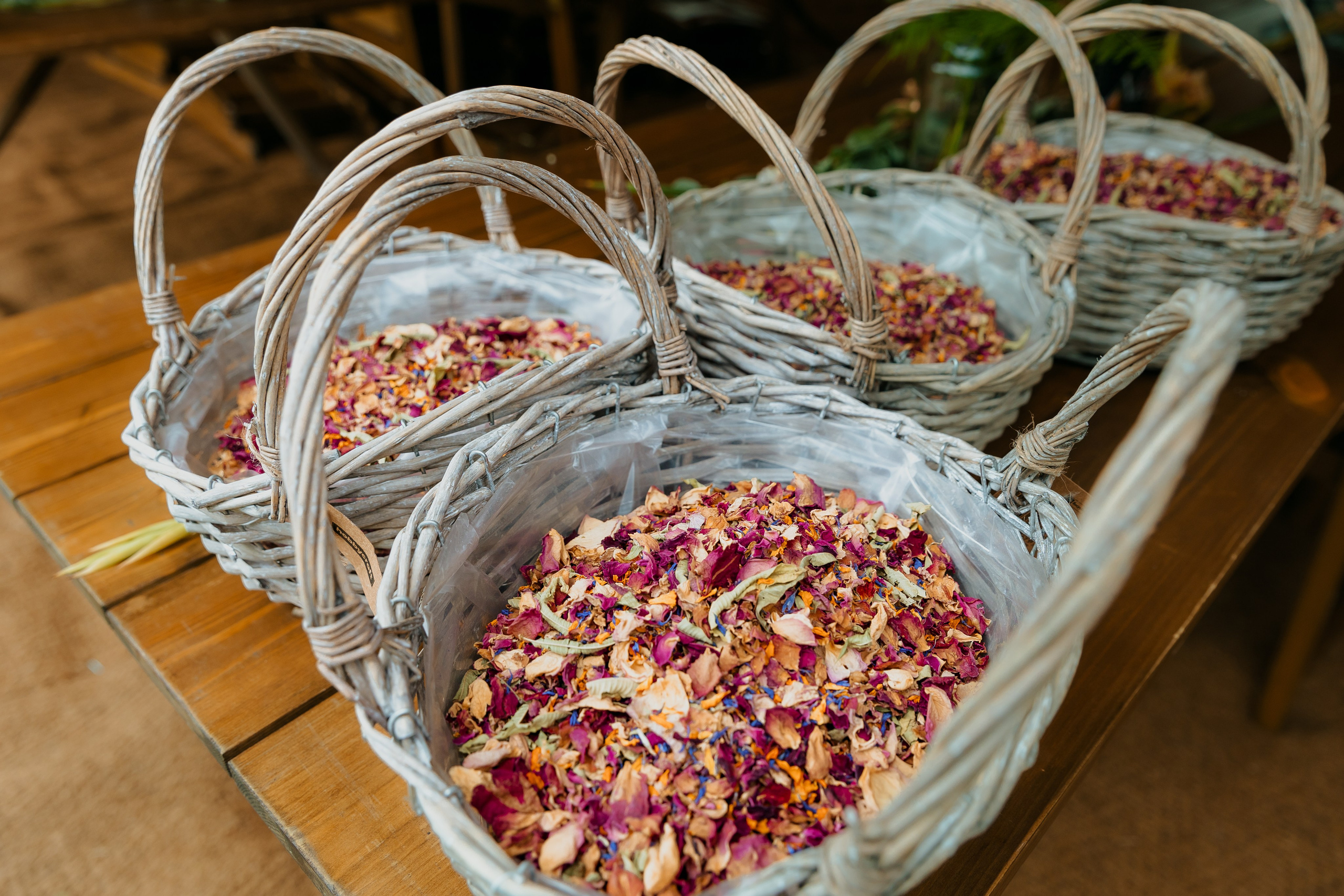 Wedding in forest. Timeless Wedding & Event Photography — based London, working across Europe