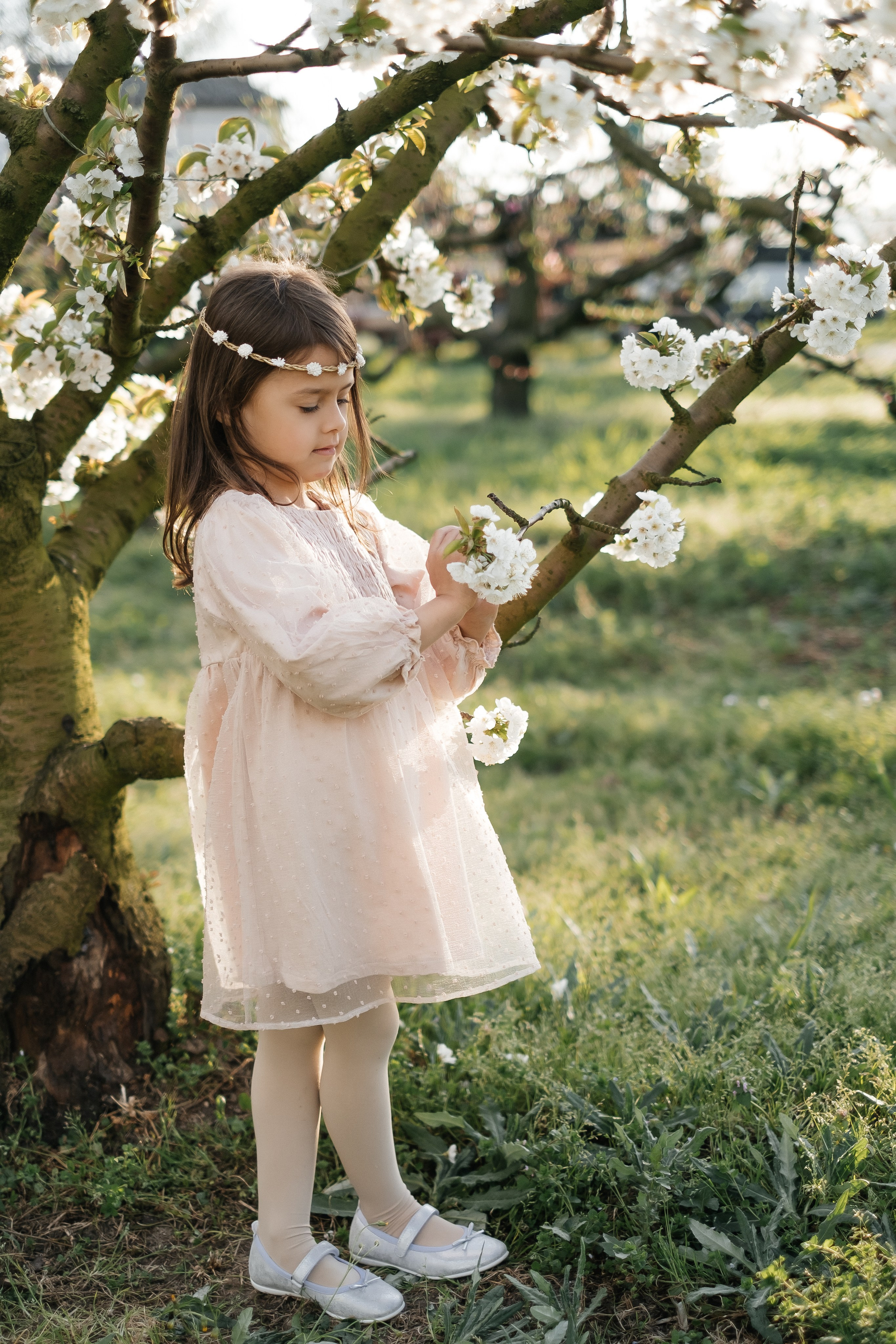 🌸🌸🌸. Весільний фотограф Вікторія Саврук