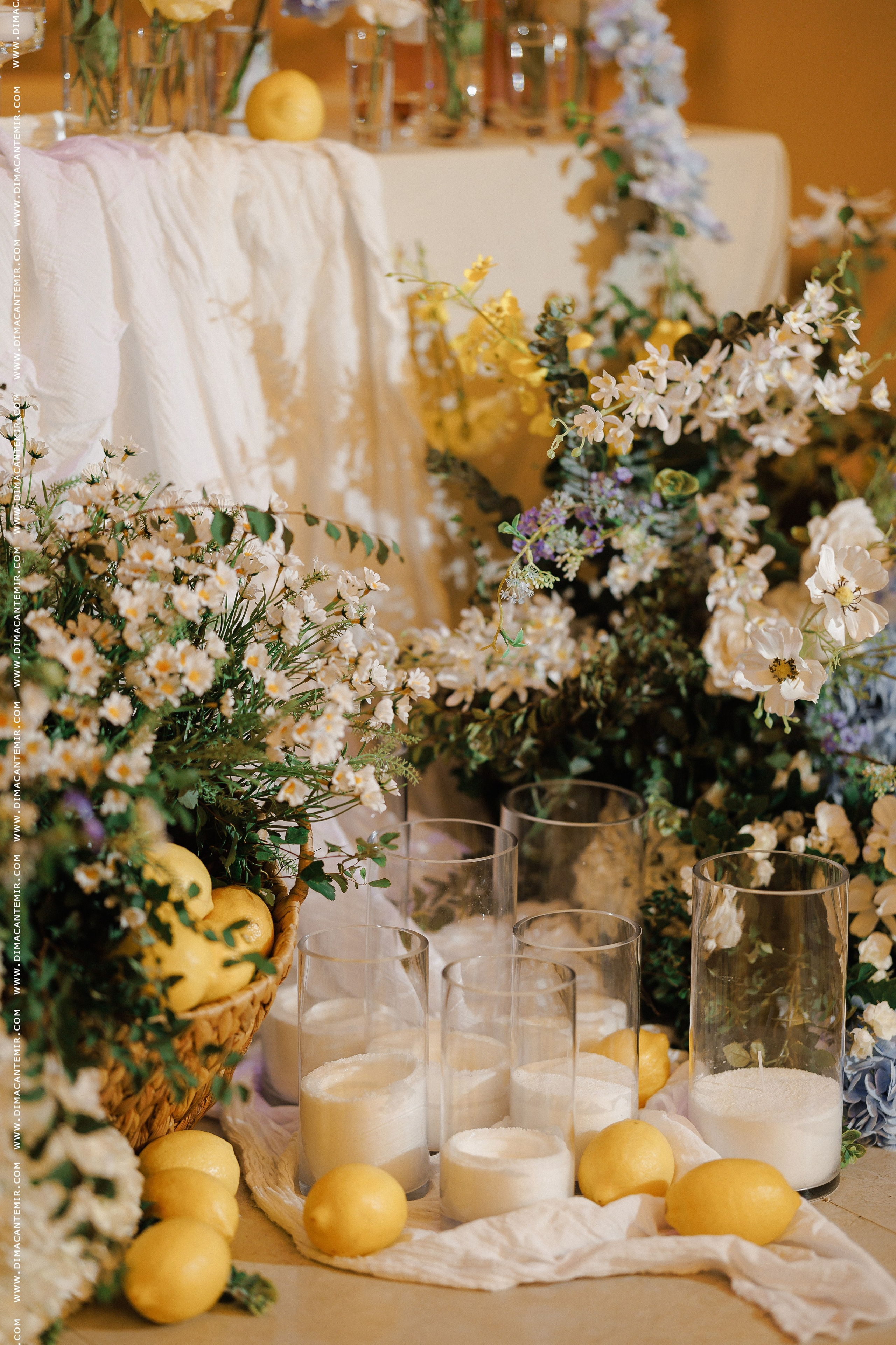 GHEORGHE + ADRIANA | LAGO. Fotograf de nuntă în Chisinau, Moldova. Poze și Video Comerciale